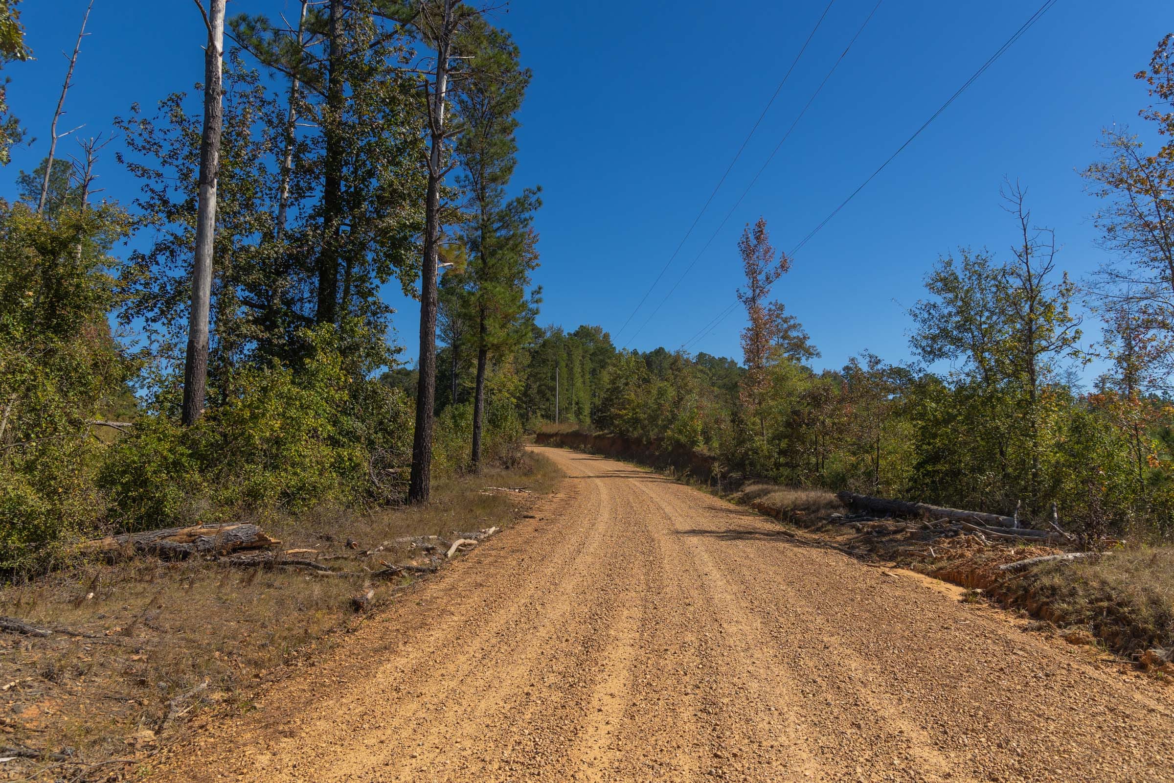 Meyer’s Ridge Tract 1 photo 6