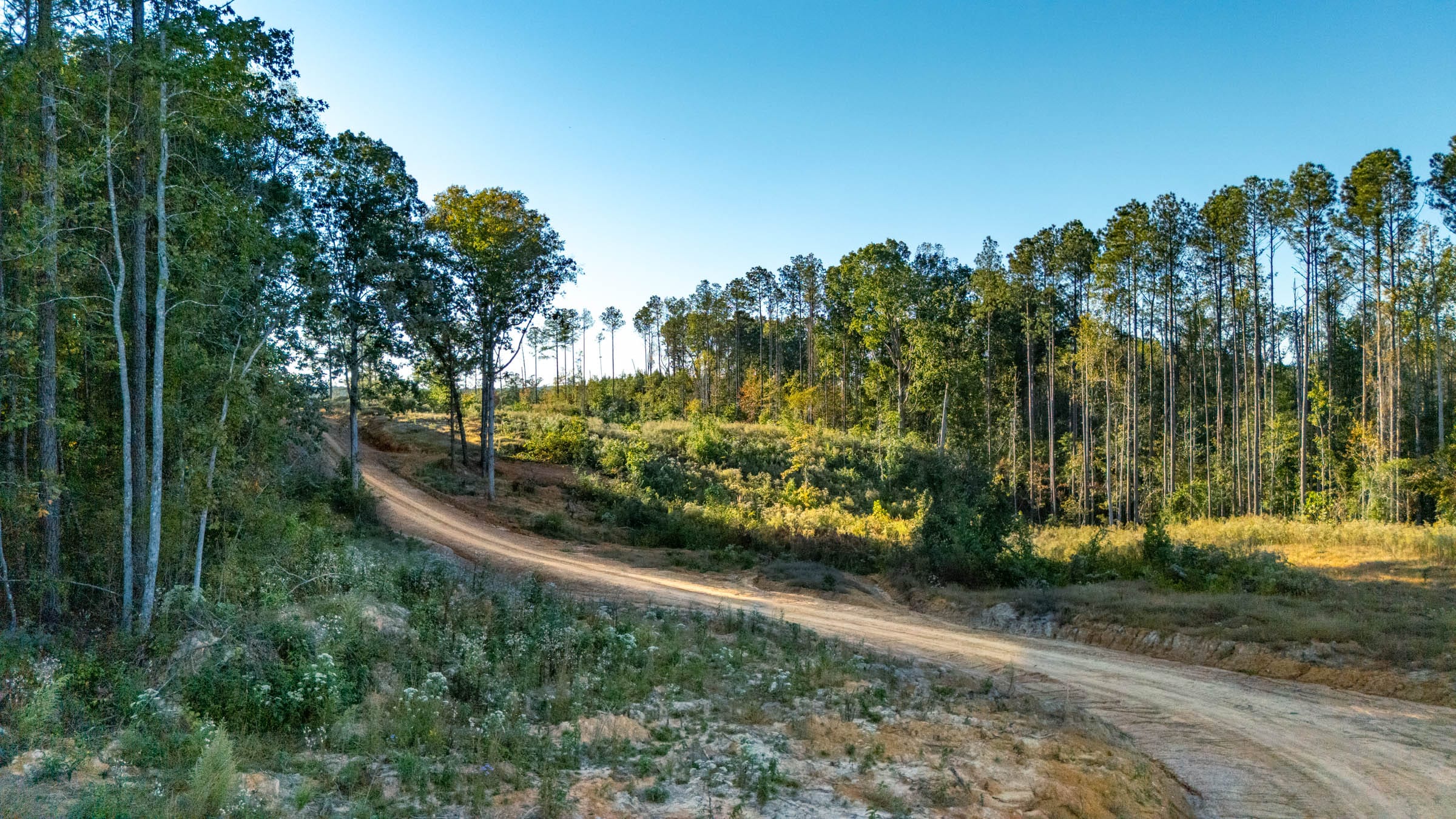 Meyer’s Ridge Tract 1 photo 3