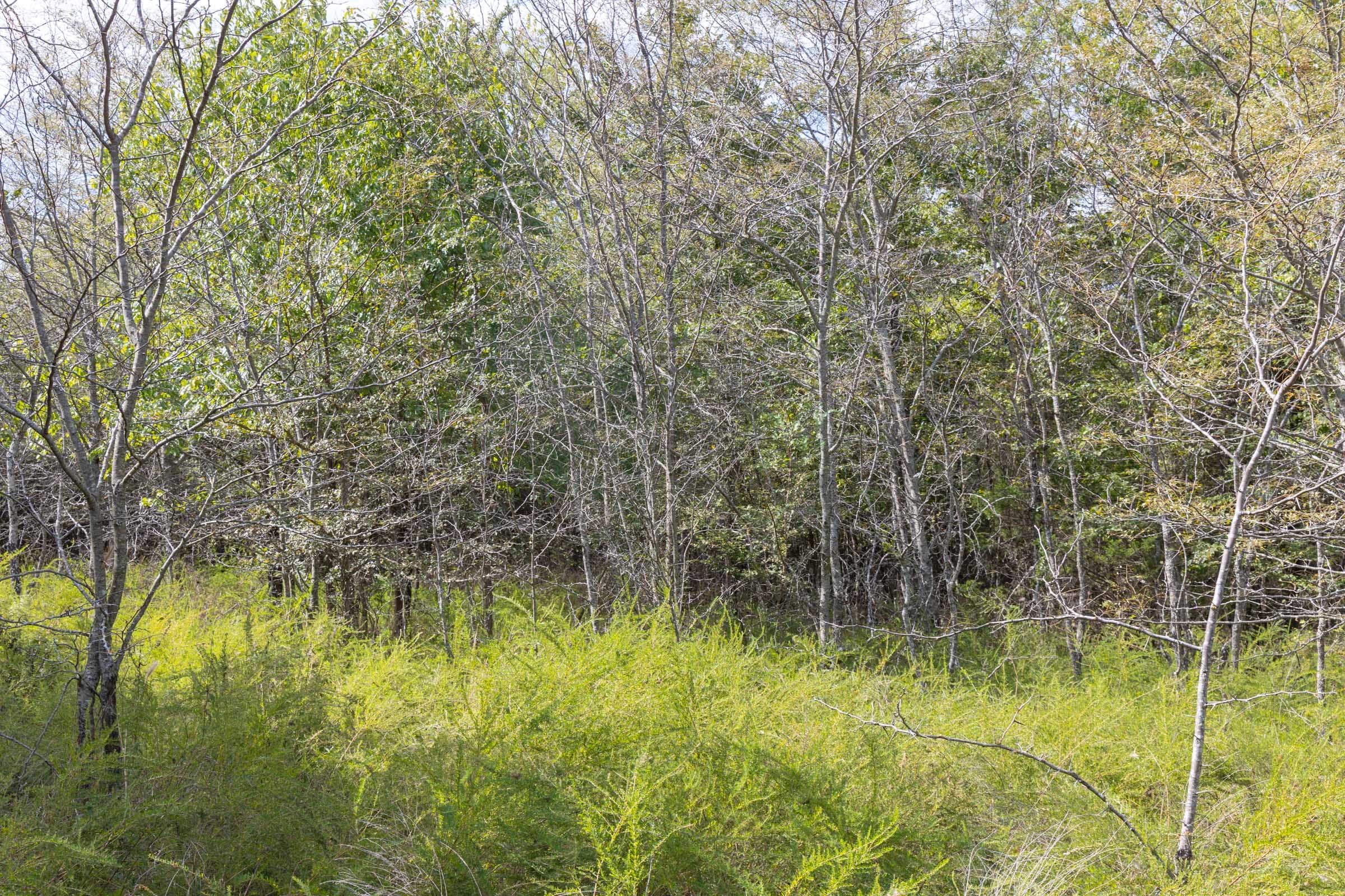 Reserves At Cattail Cove Phase II Tract 69 photo 9