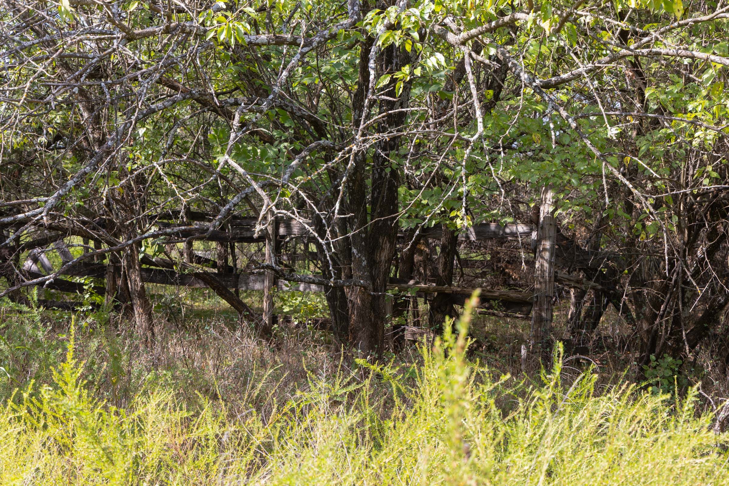 Reserves At Cattail Cove Phase II Tract 69 photo 6
