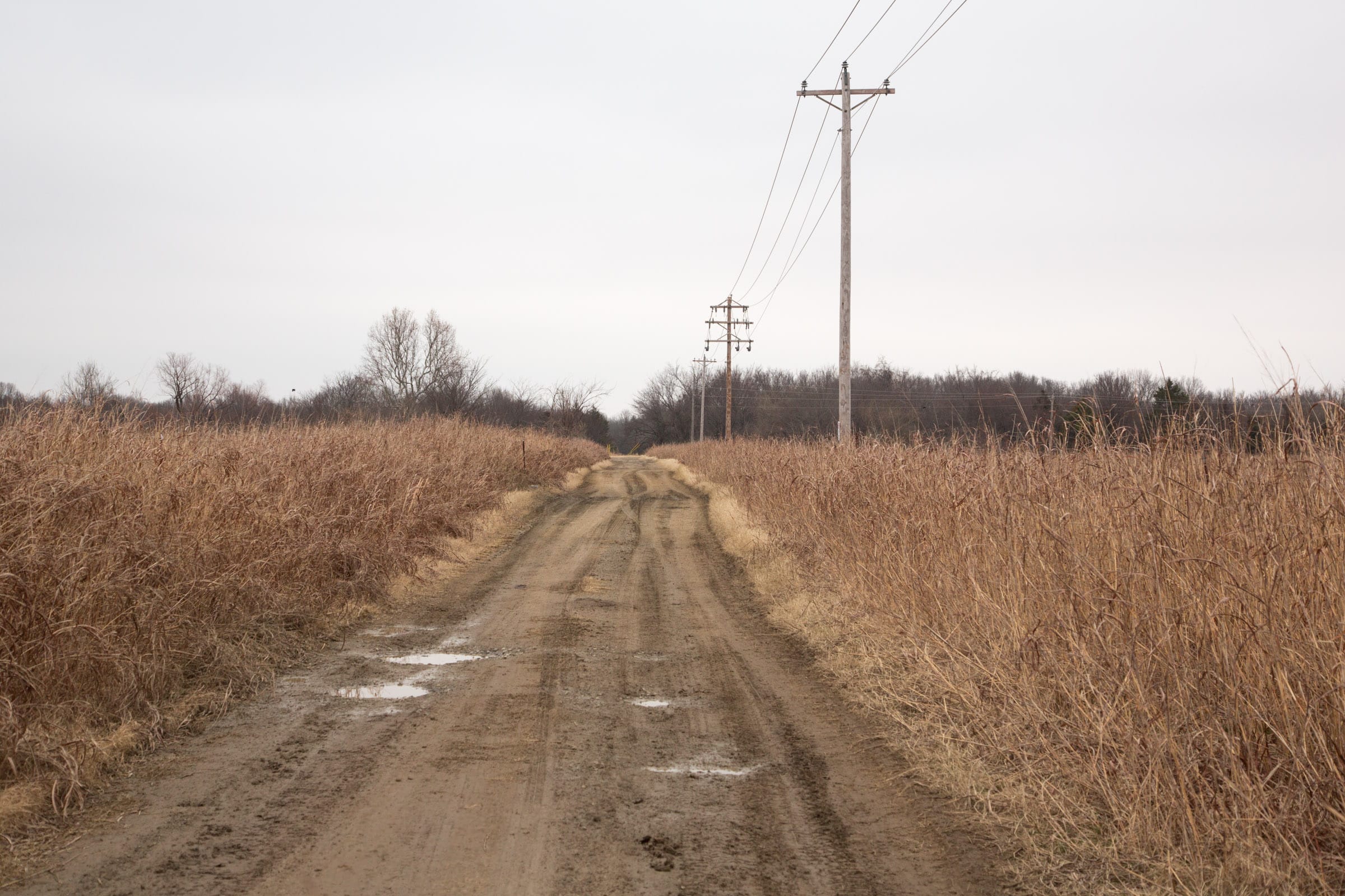Canadian Plains Tract 37 photo 1