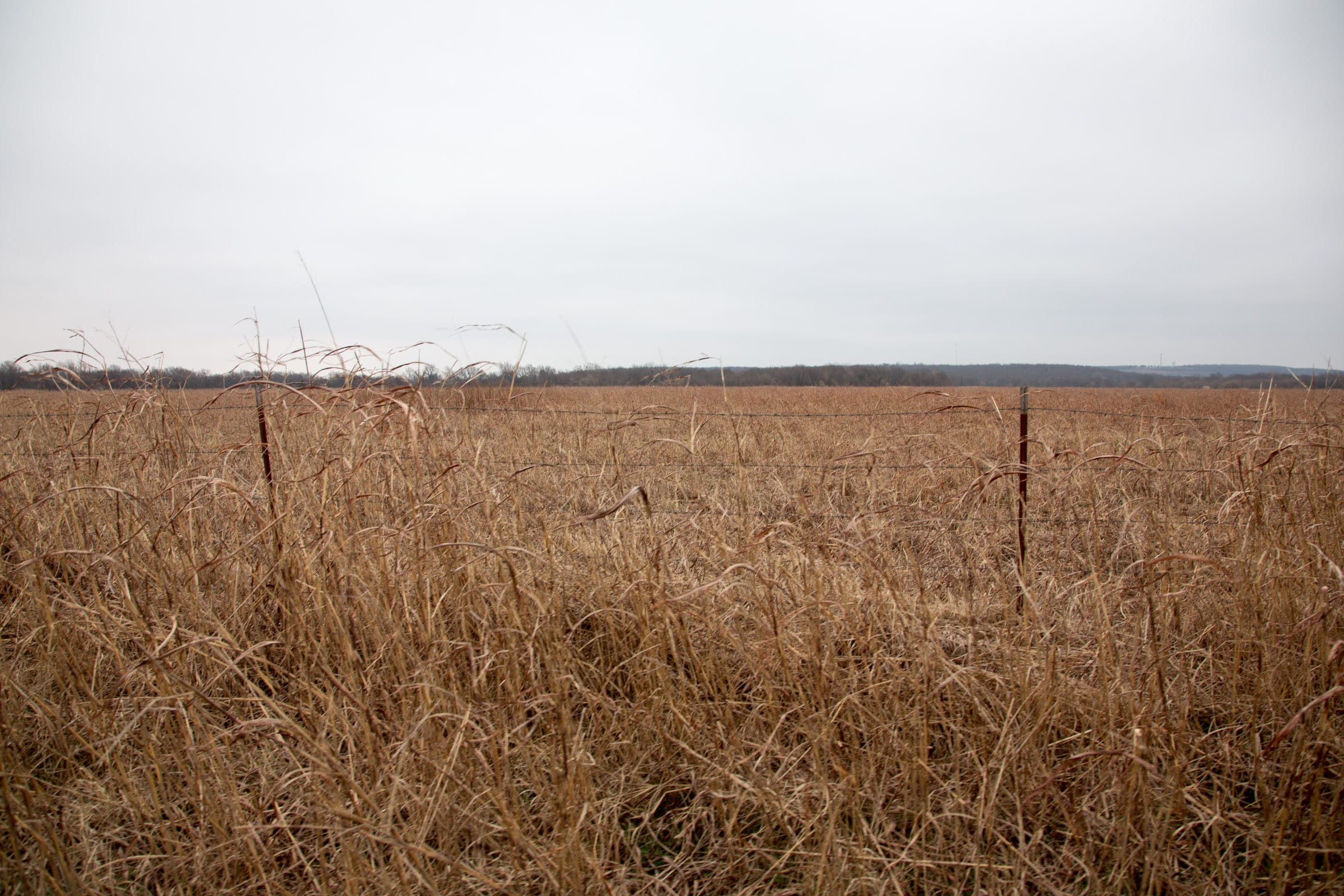 Canadian Plains Tract 37 photo 3