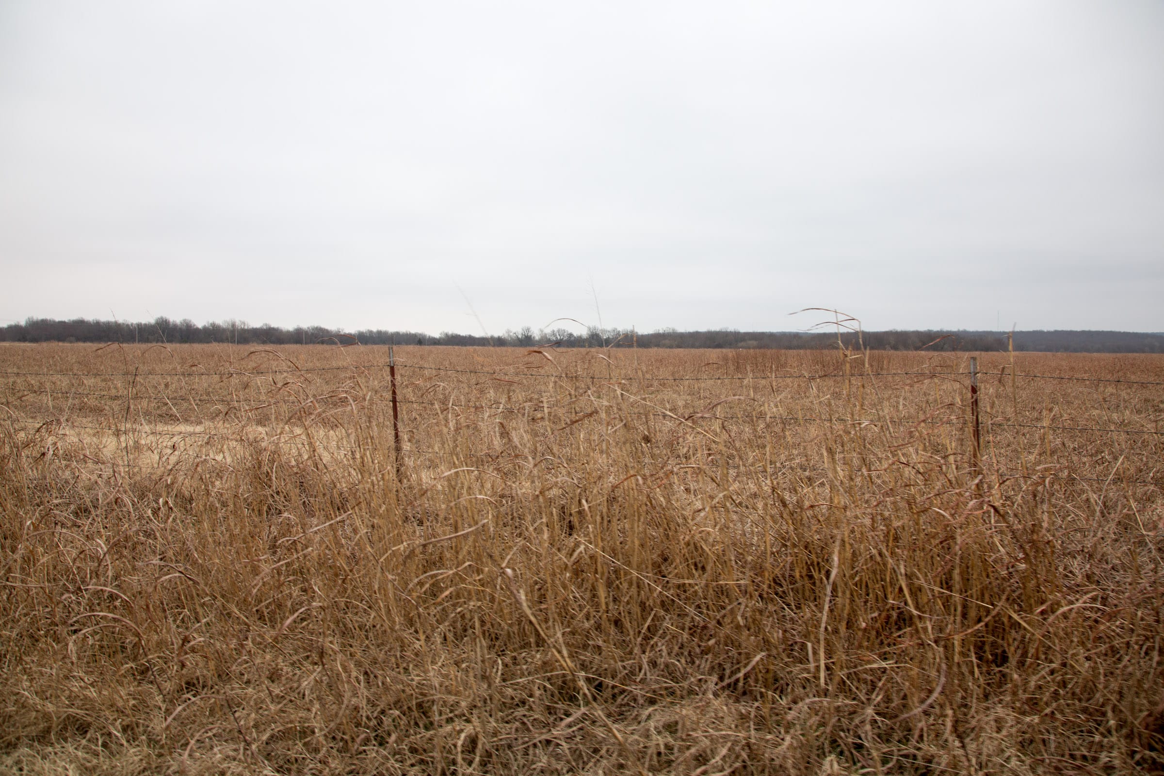 Canadian Plains Tract 37 photo 4