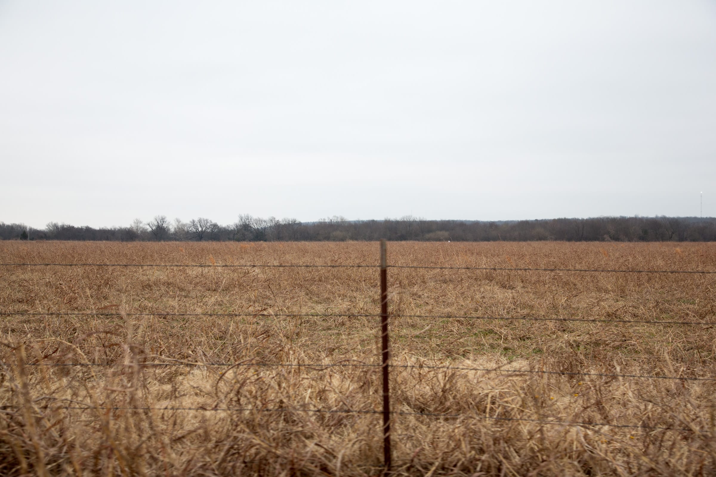 Canadian Plains Tract 37 photo 5