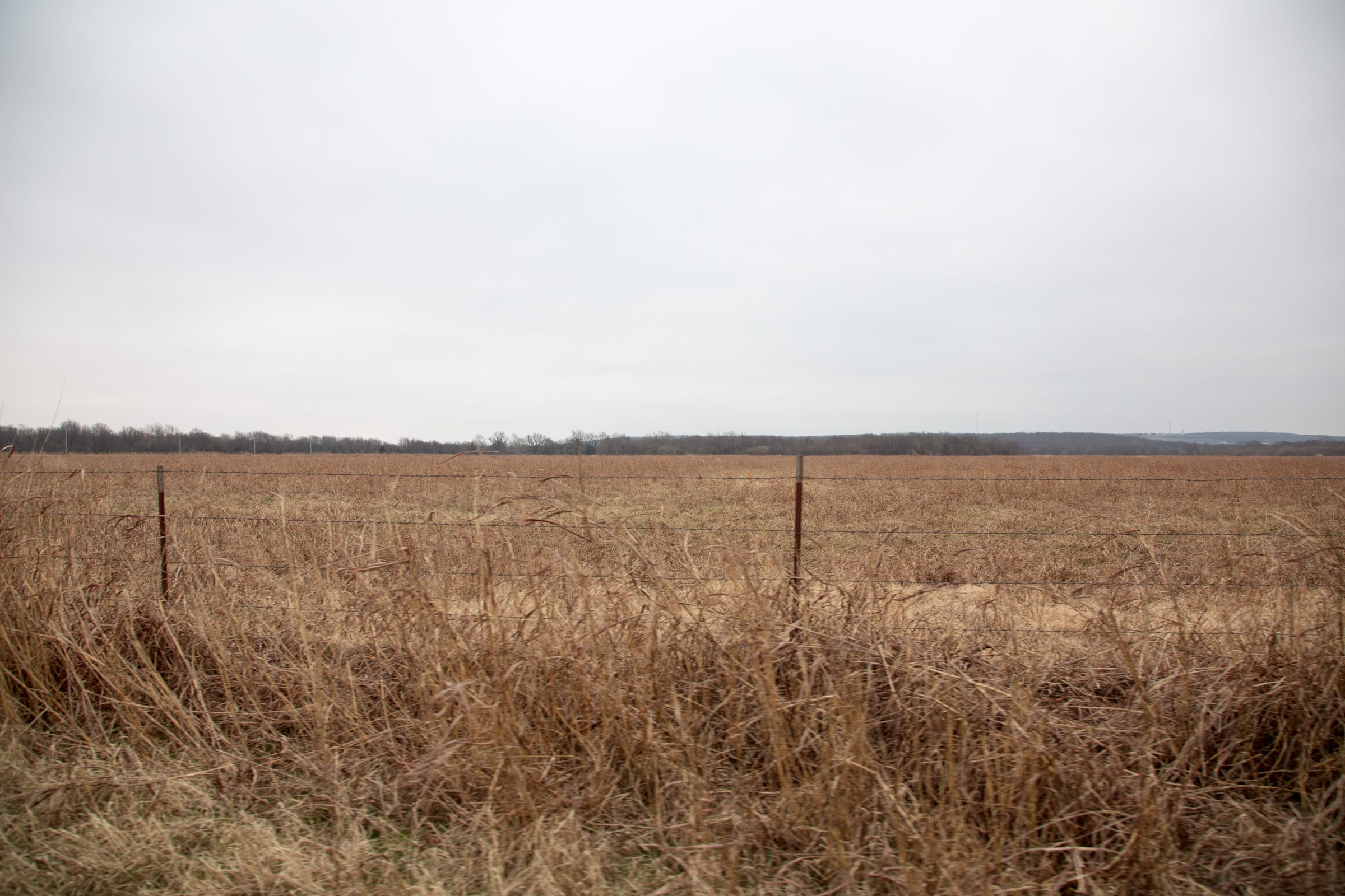 Canadian Plains Tract 37 photo 6