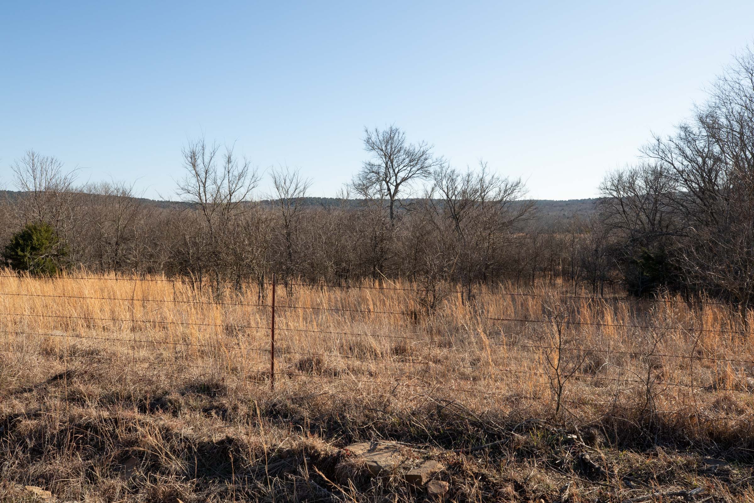 Painted Horse Tract 38 photo 5