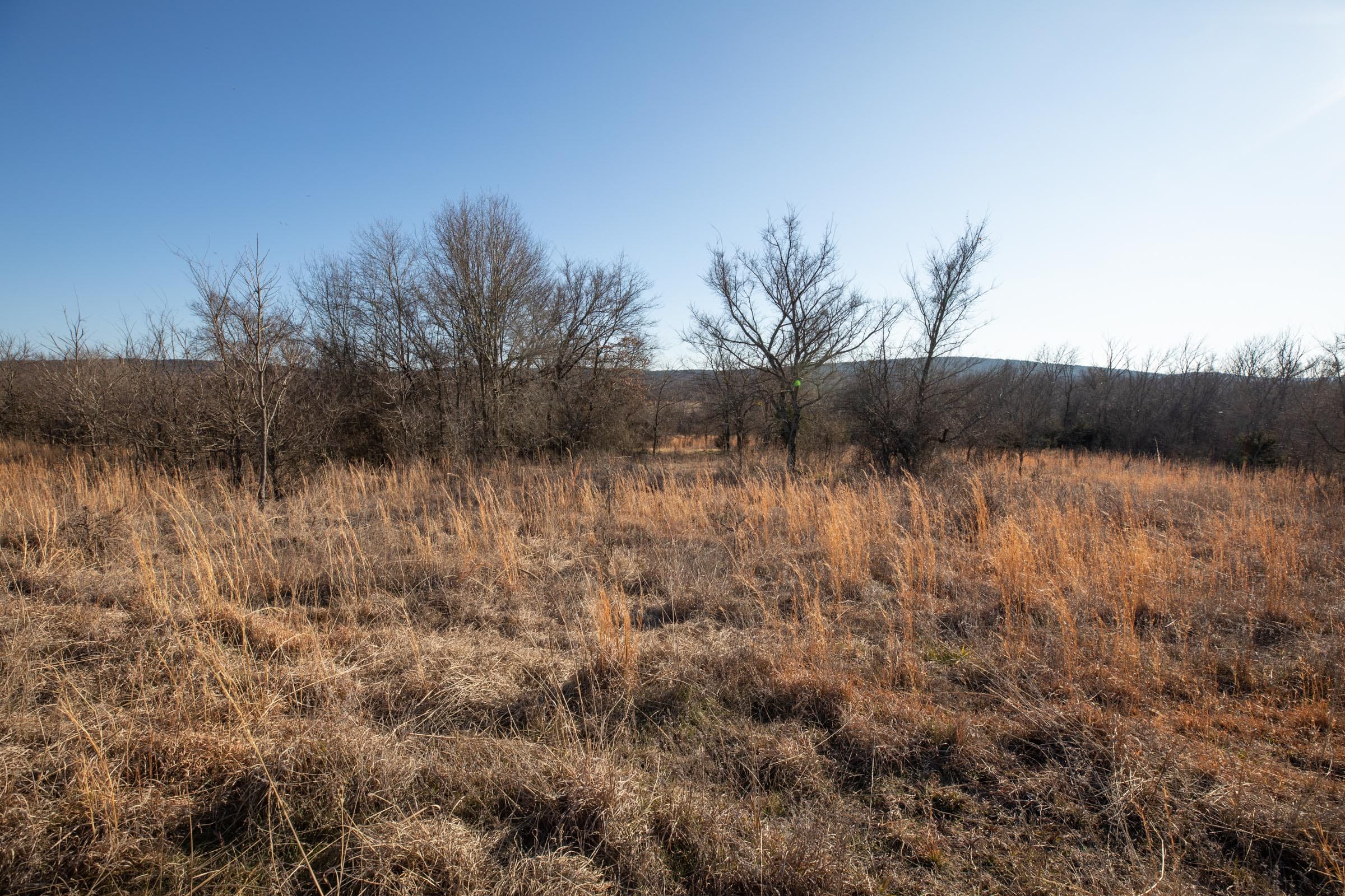 Painted Horse Tract 38 photo 6