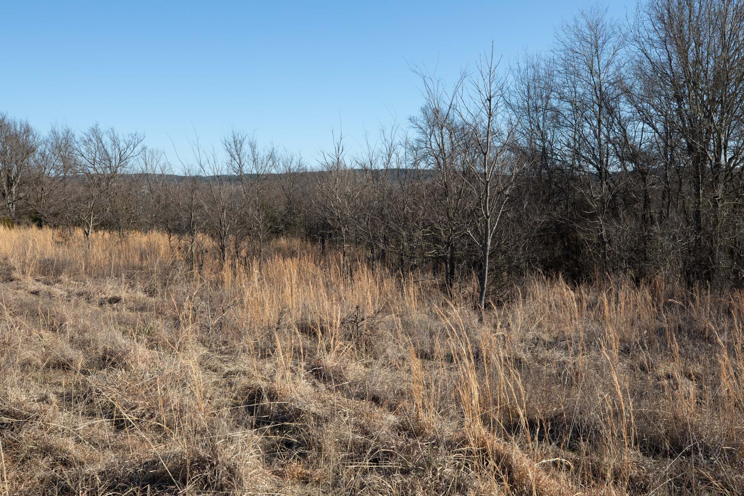 Painted Horse Tract 38 photo 7