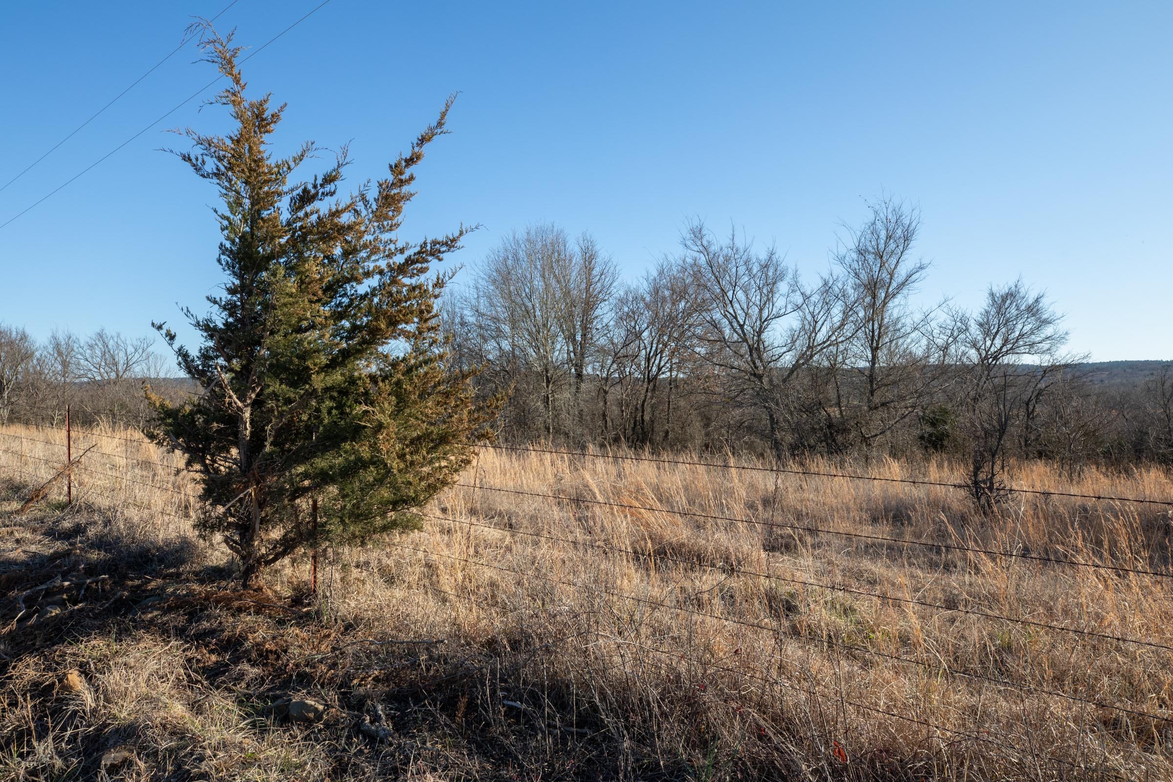 Painted Horse Tract 38 photo 8