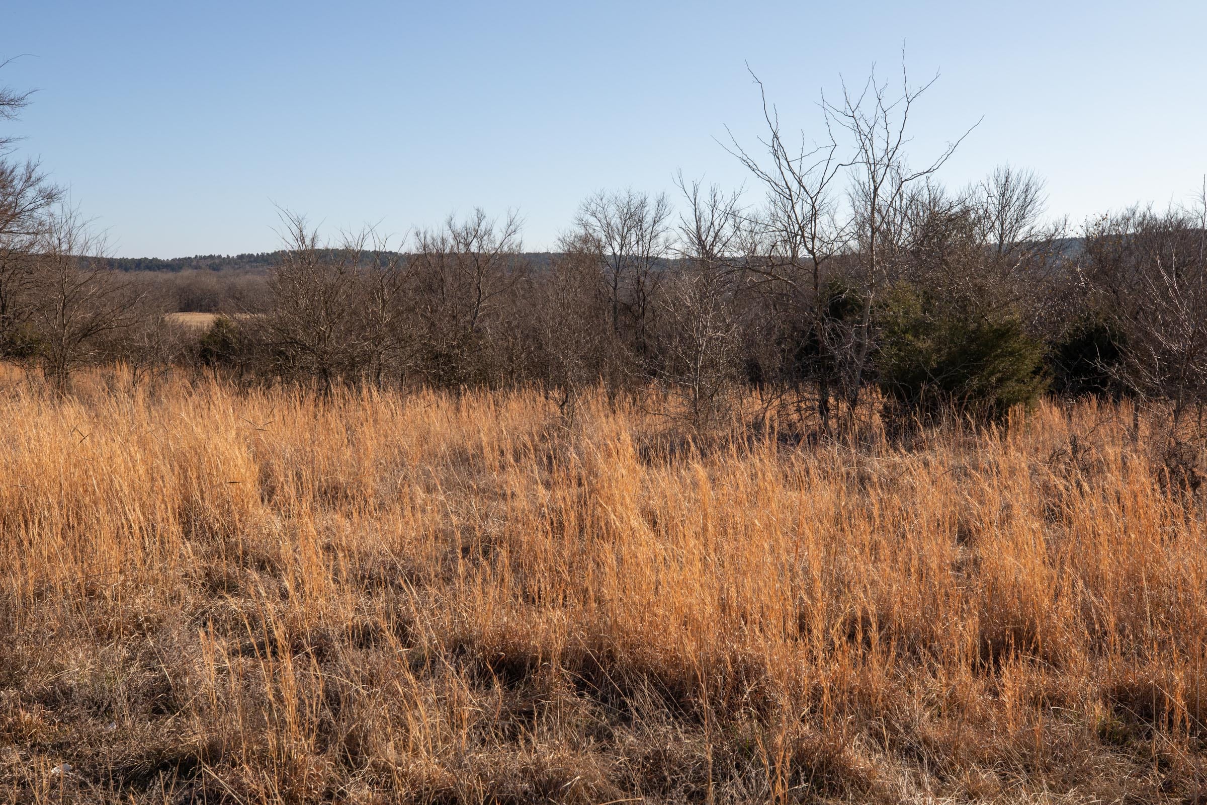 Painted Horse Tract 38 photo 10