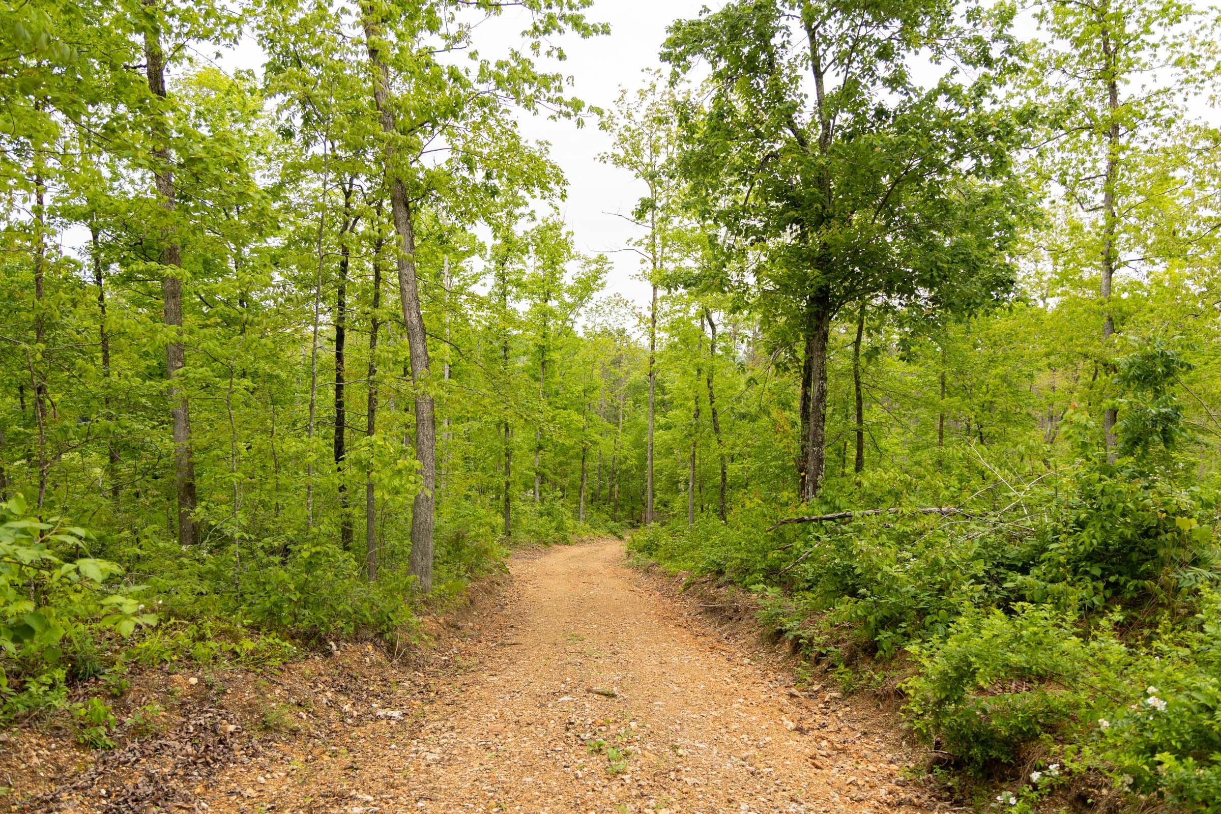 Stardust Estates Tract 3 photo 12