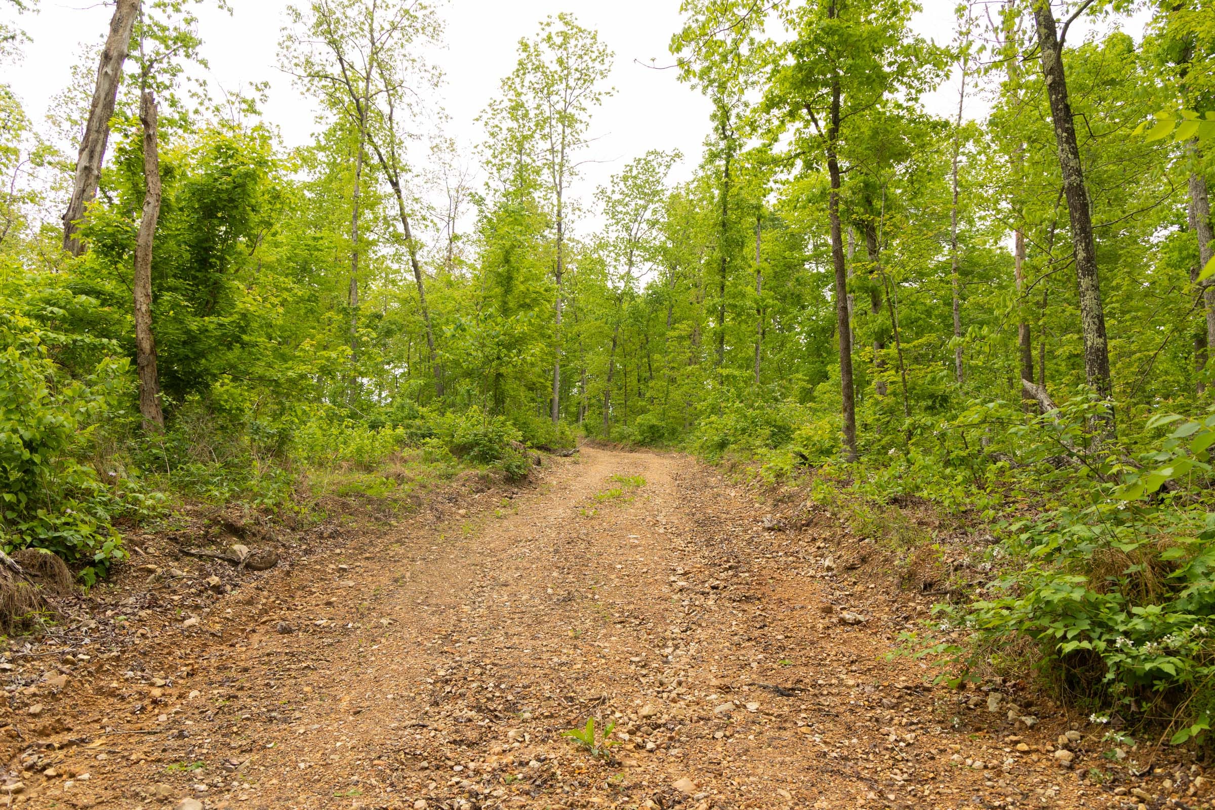 Stardust Estates Tract 3 photo 7