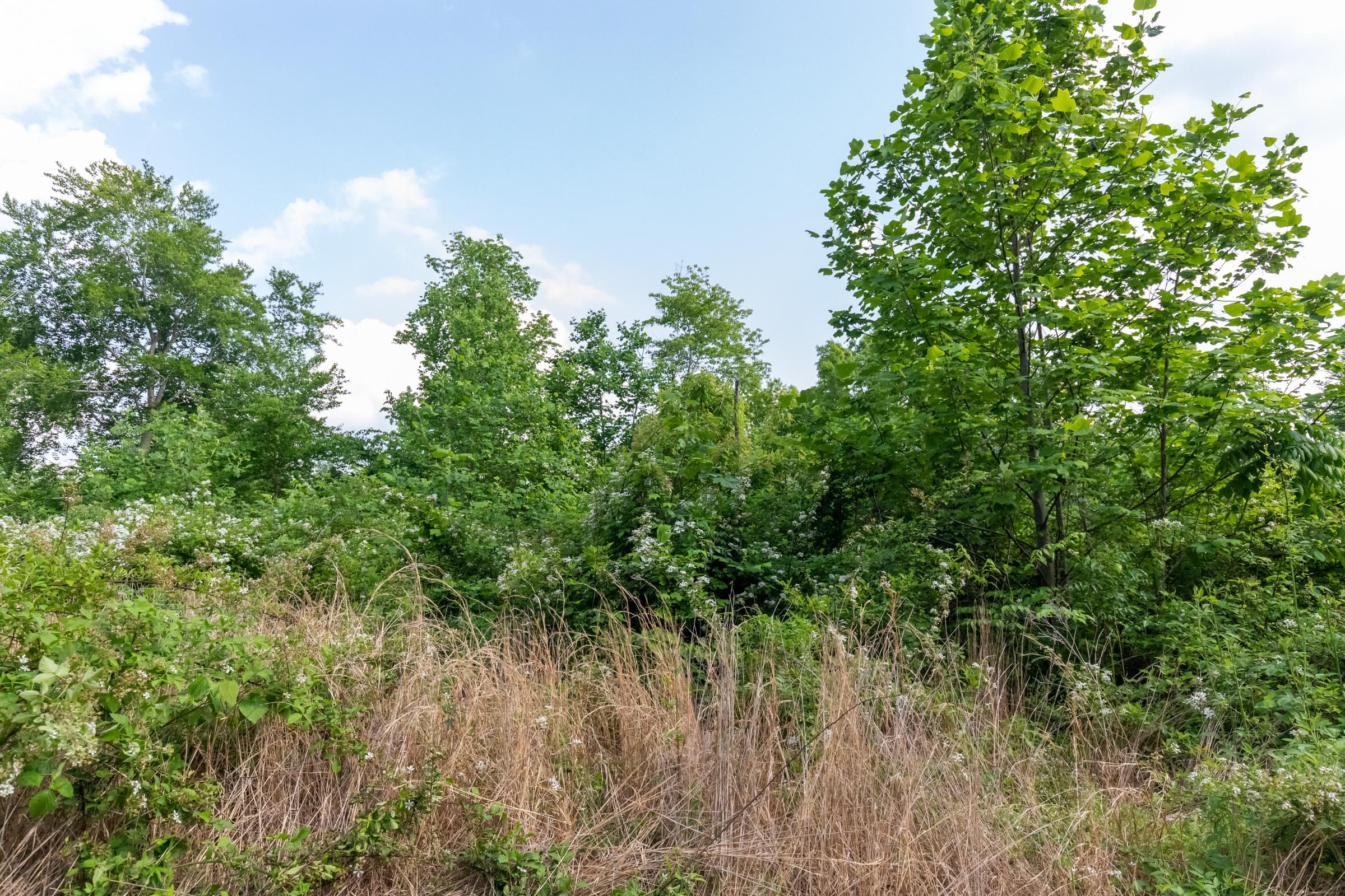 Cedar Creek Tract 28 photo 2