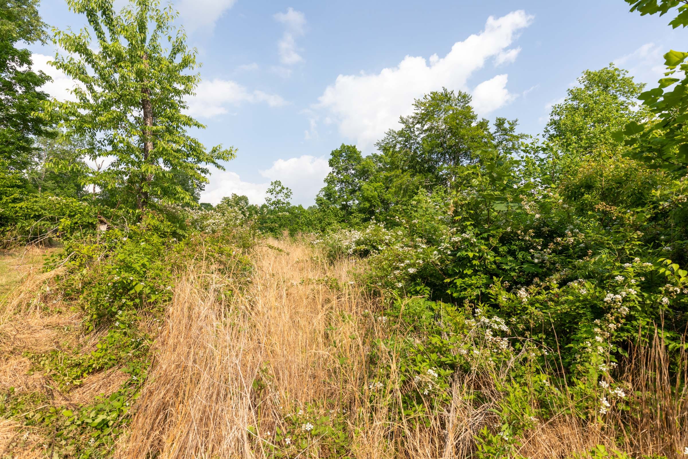 Cedar Creek Tract 28 photo 4