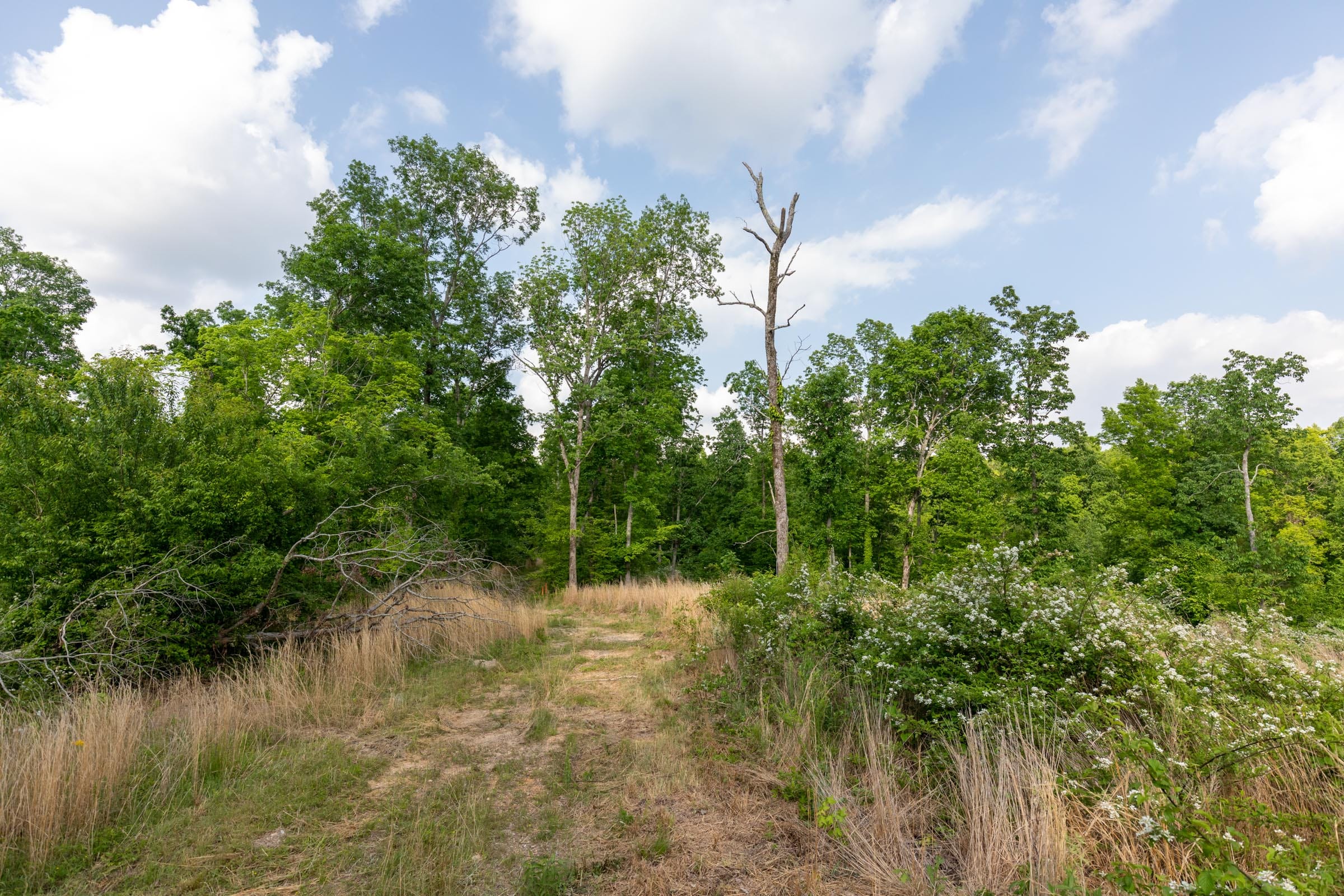 Cedar Creek Tract 28 photo 9