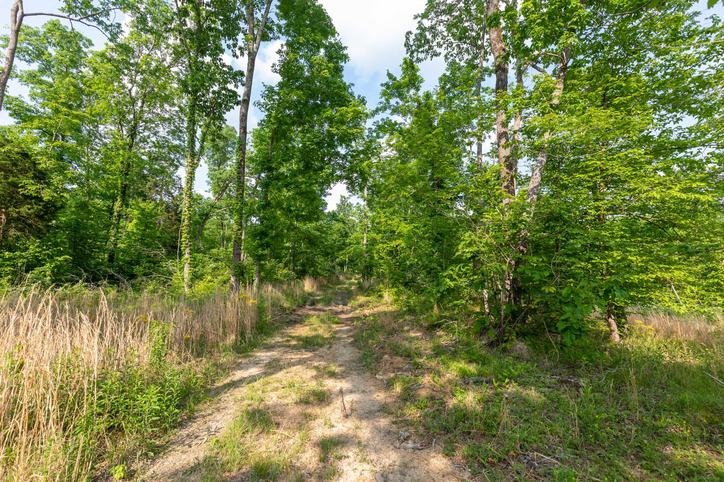 Cedar Creek Tract 28 photo 1
