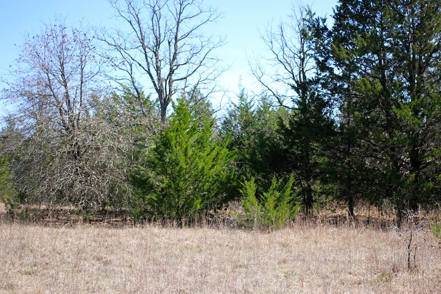 Montgomery Ranch Tract 2 photo 4
