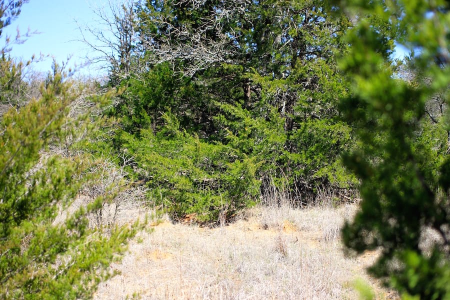Montgomery Ranch Tract 2 photo 5