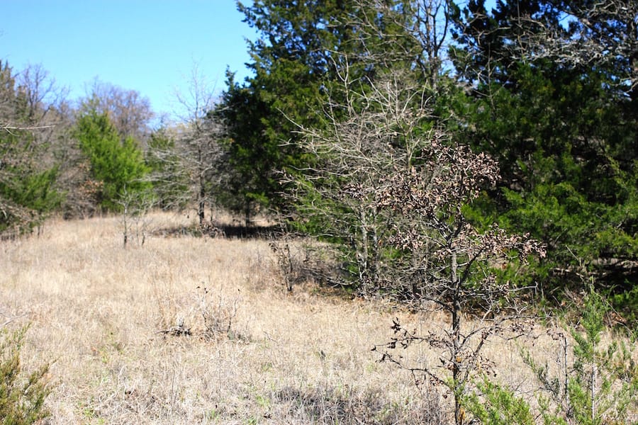 Montgomery Ranch Tract 2 photo 6