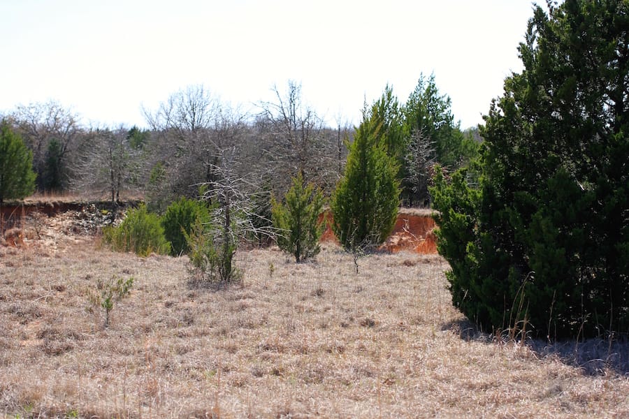Montgomery Ranch Tract 2 photo 11