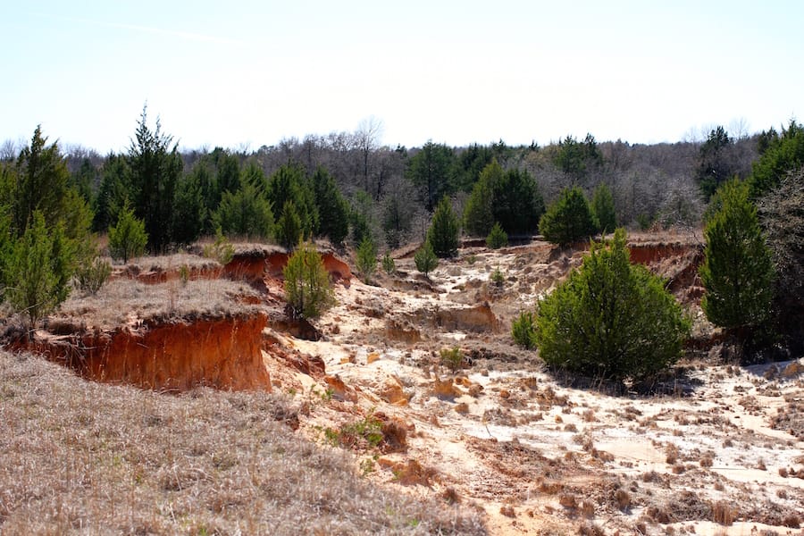 Montgomery Ranch Tract 2 photo 12