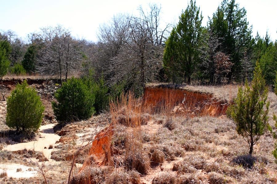 Montgomery Ranch Tract 2 photo 14