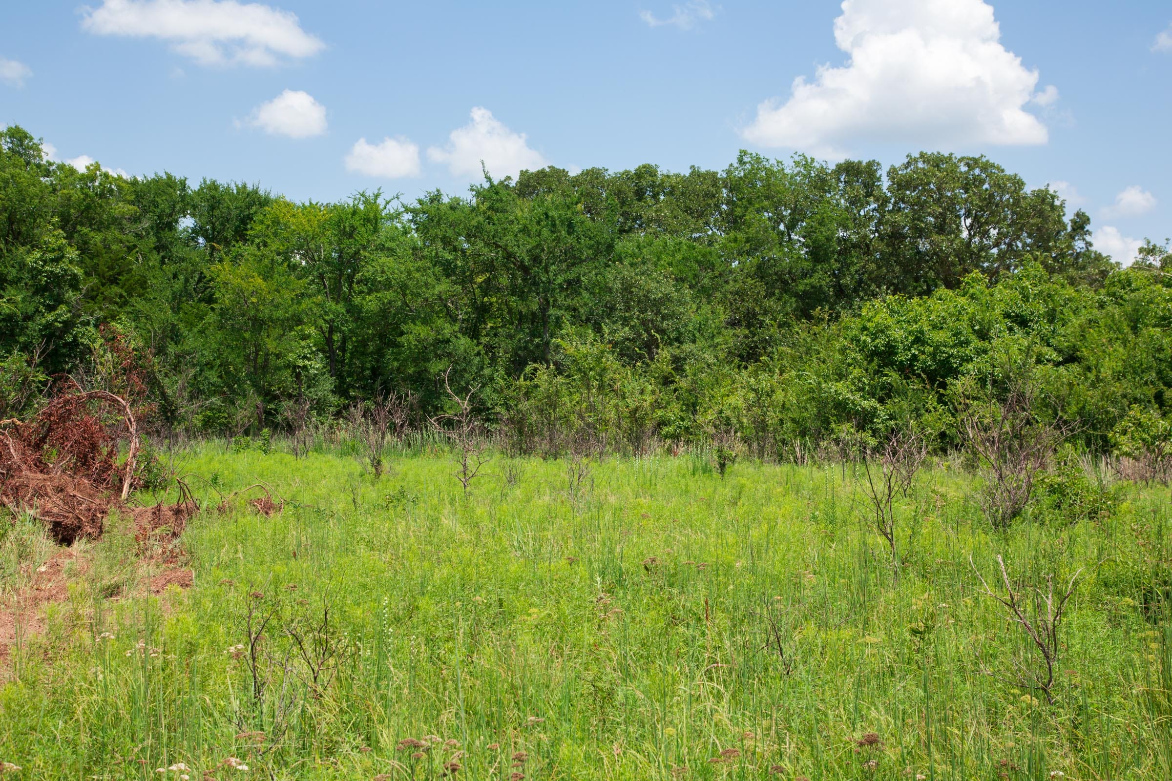 Deep Fork Ranch Tract 21 photo 3