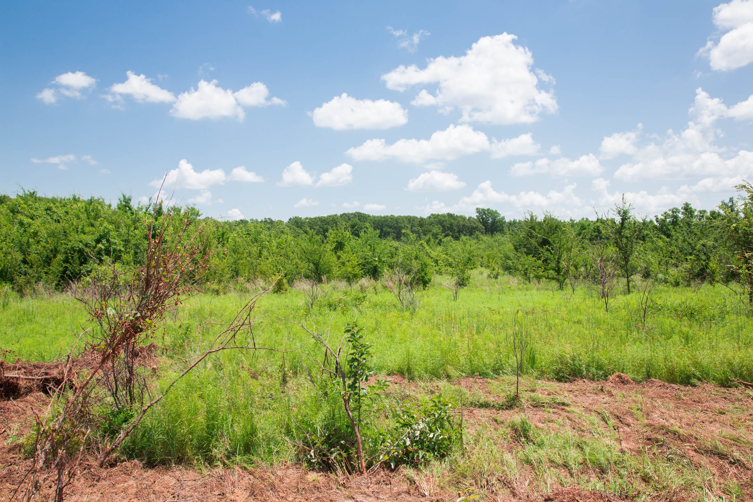 Deep Fork Ranch Tract 21 photo 5