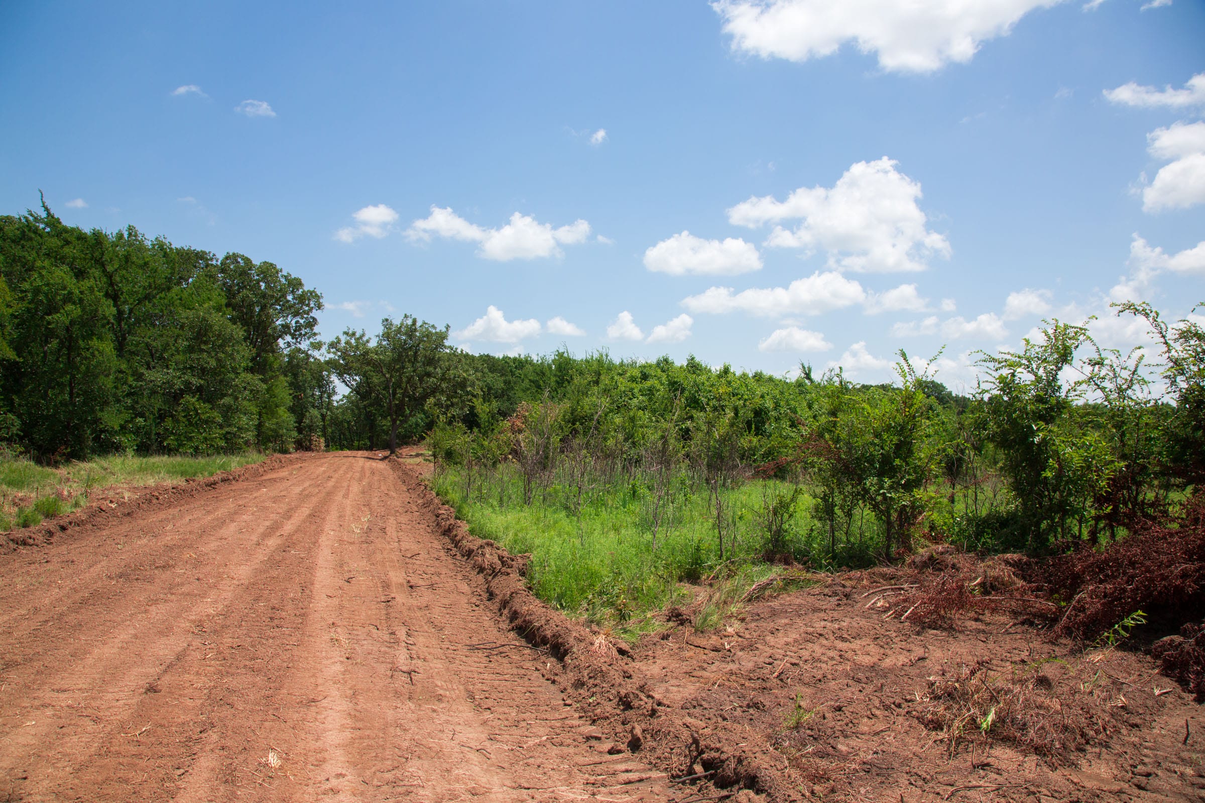 Deep Fork Ranch Tract 21 photo 6