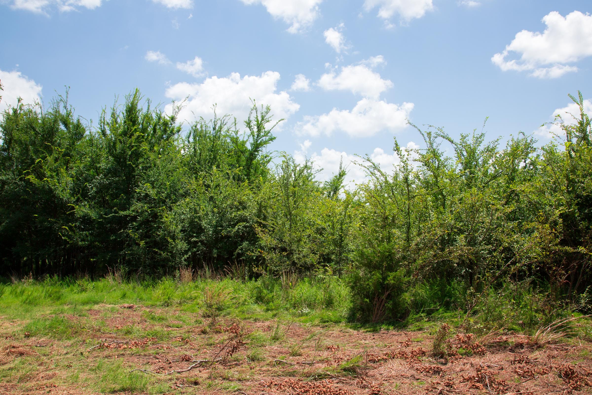 Deep Fork Ranch Tract 21 photo 9