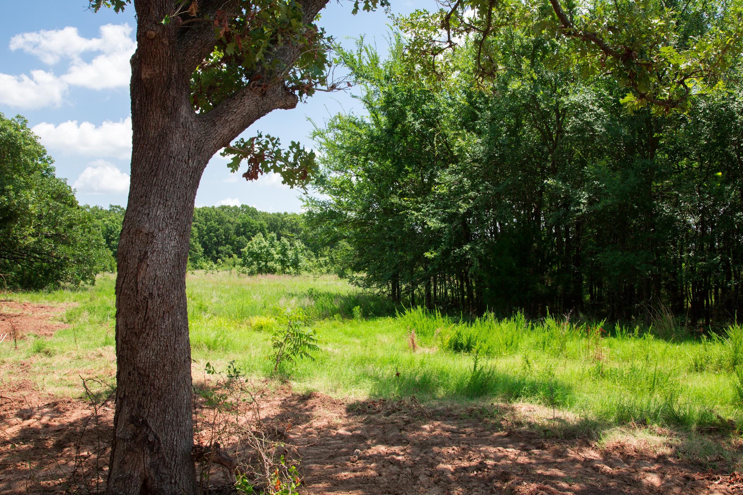 Deep Fork Ranch Tract 21 photo 10