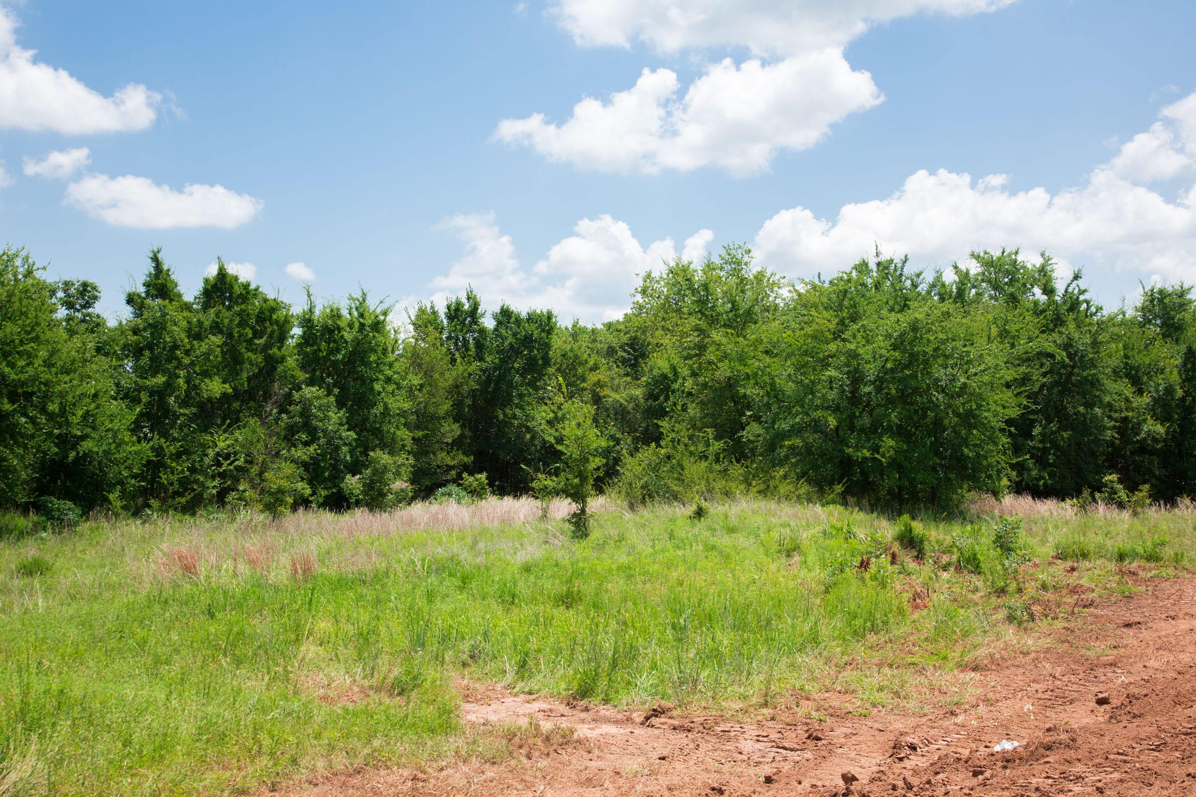 Deep Fork Ranch Tract 21 photo 14