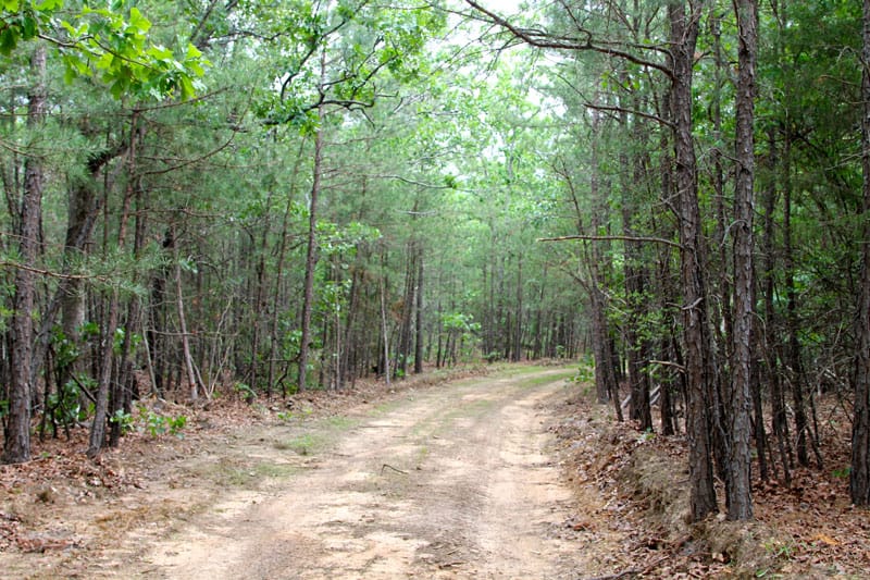 Trophy Ridge Phase II Tract 59 photo 1