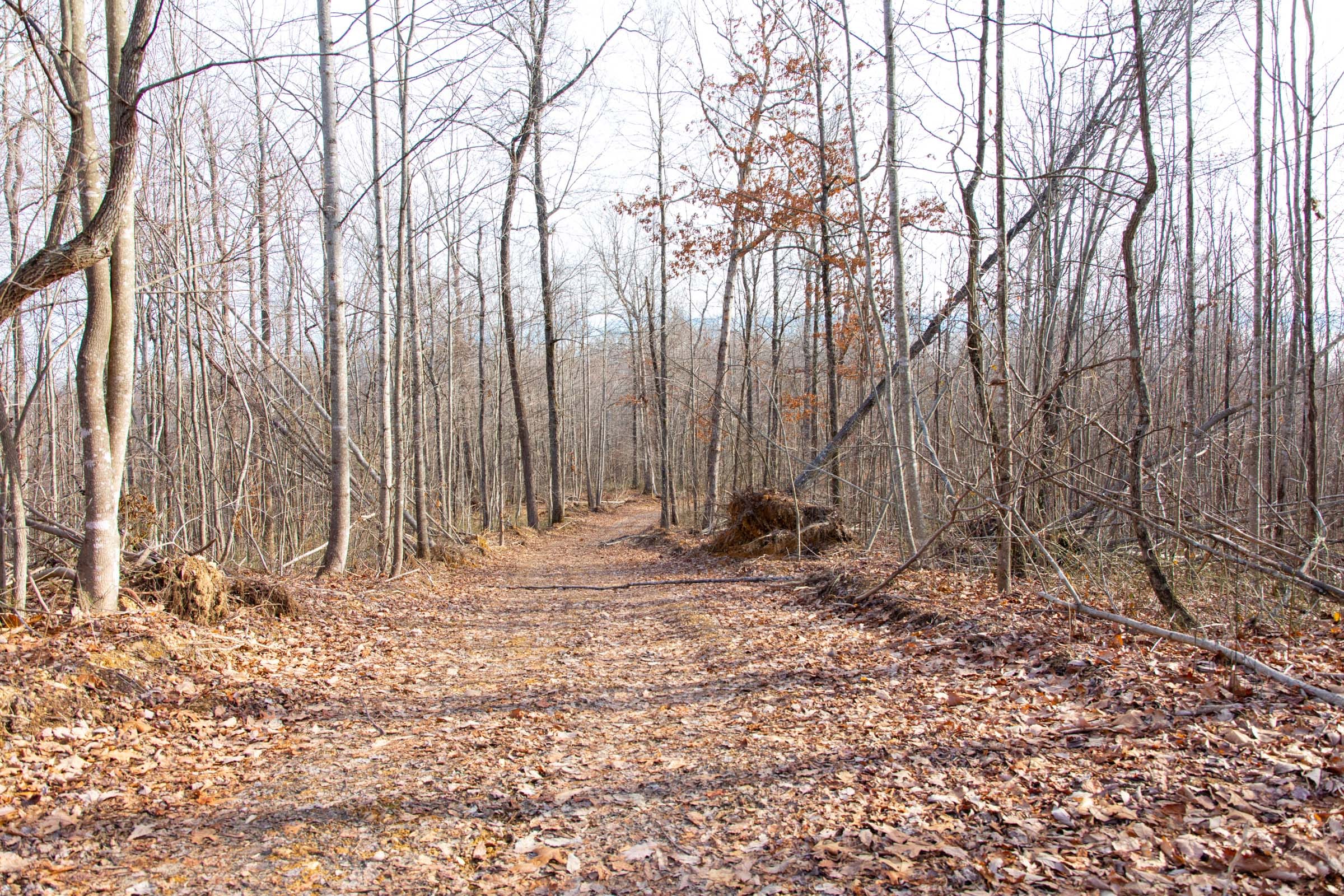Blackstone Mountain Phase I Tract 30 photo 1