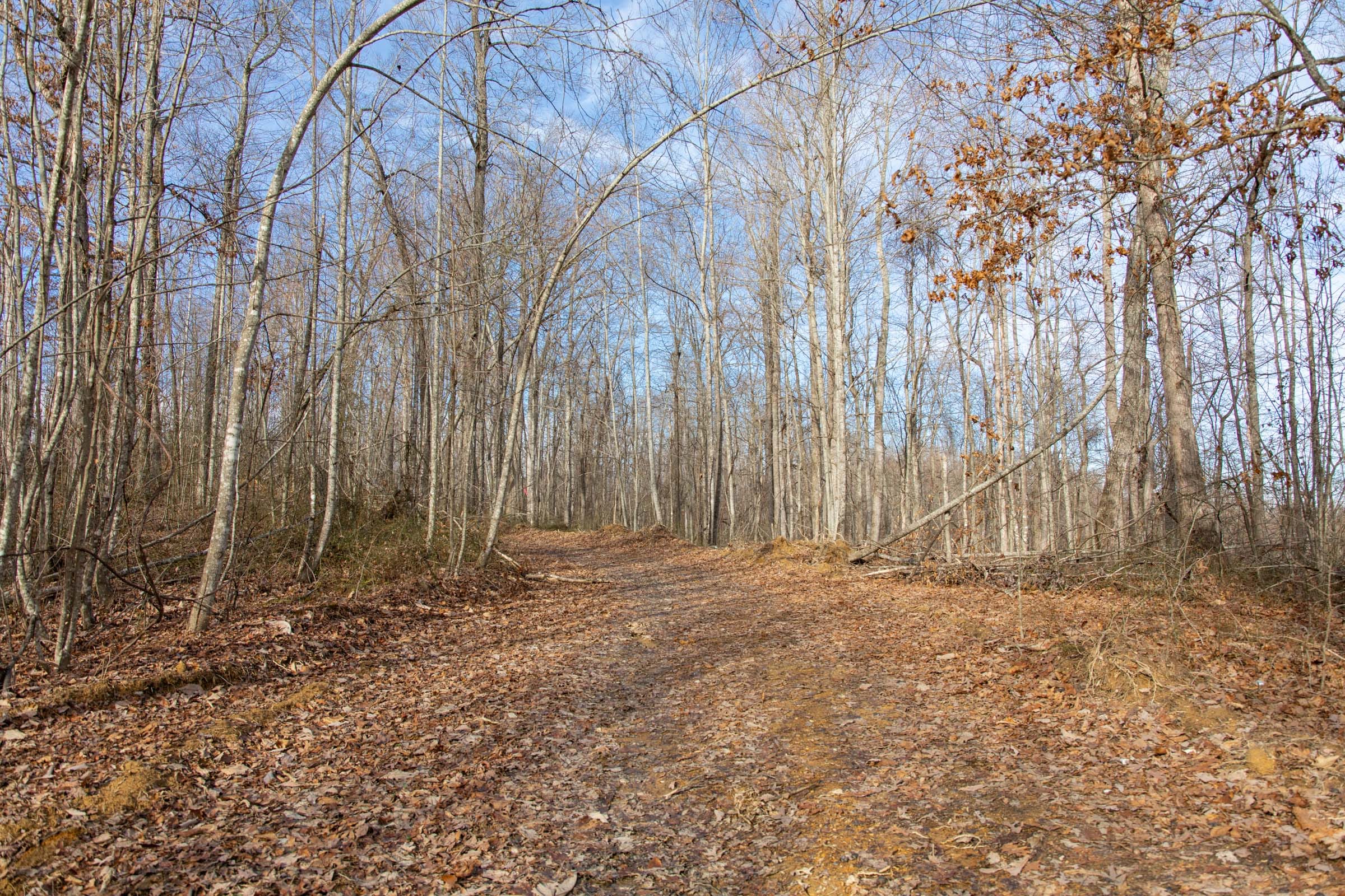 Blackstone Mountain Phase I Tract 30 photo 5