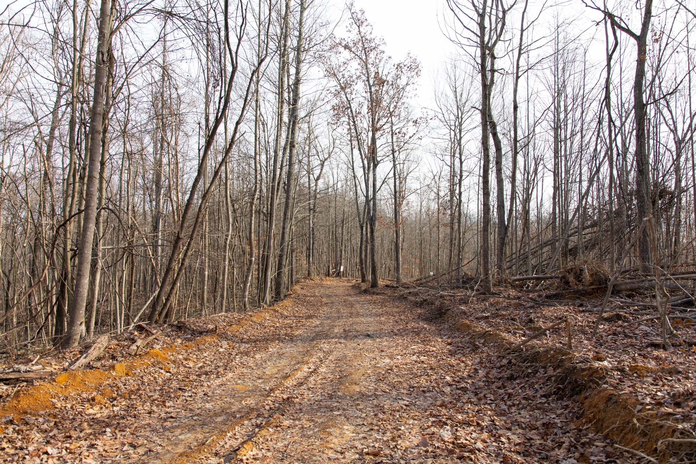 Blackstone Mountain Phase I Tract 30 photo 7