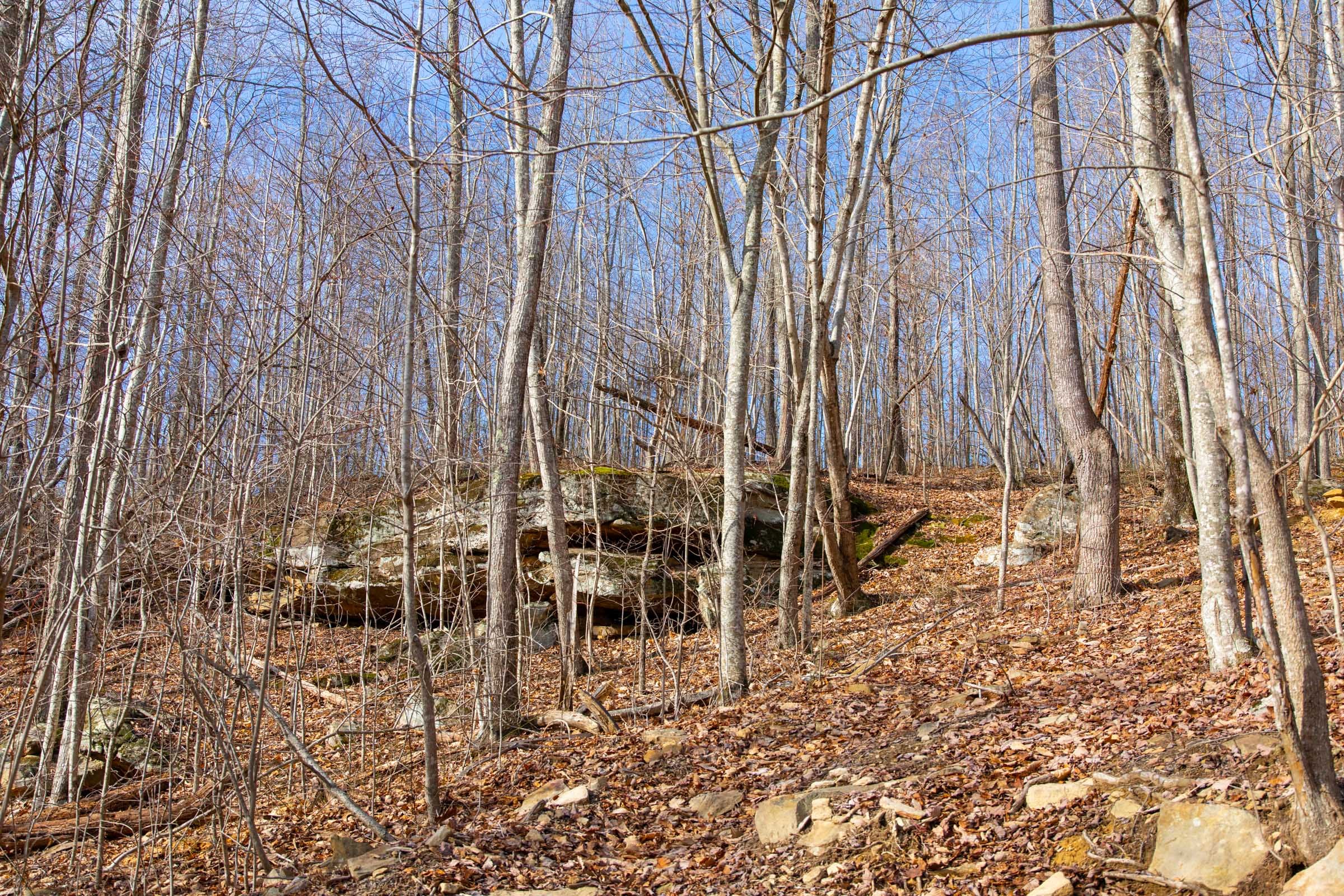 Blackstone Mountain Phase I Tract 30 photo 10