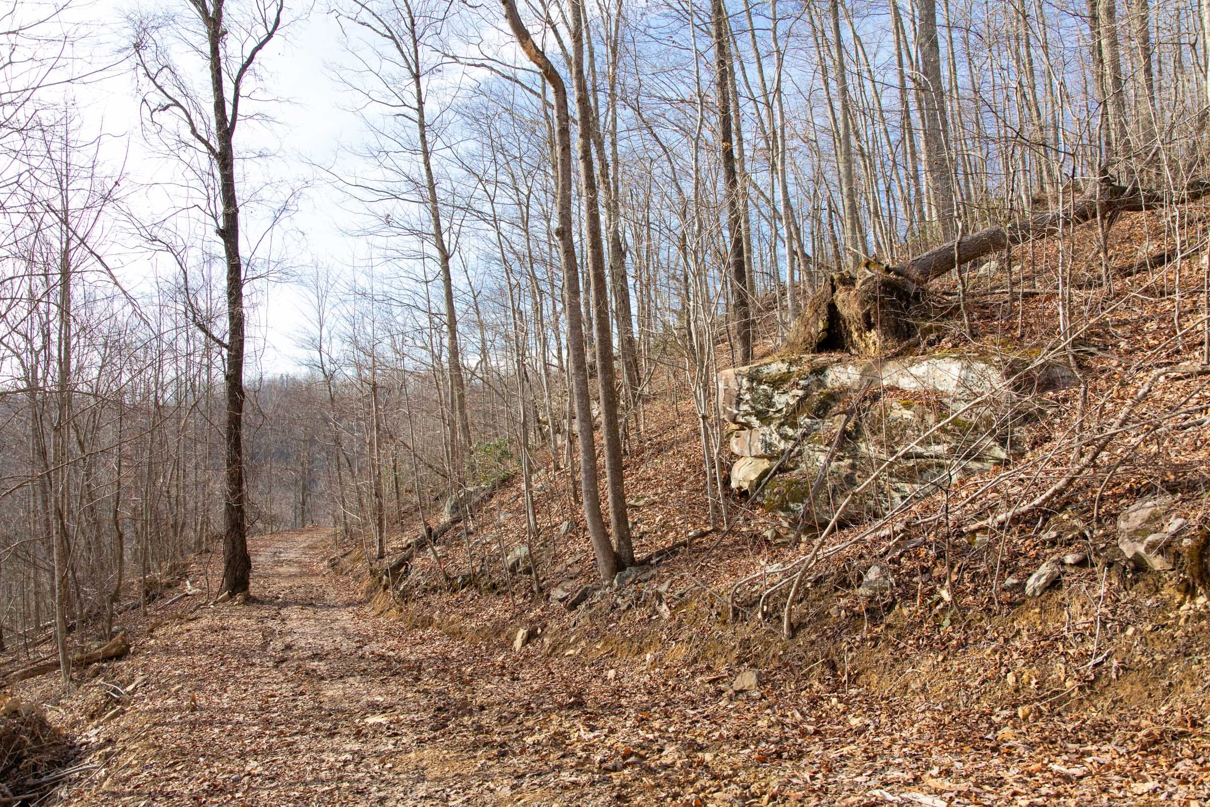 Blackstone Mountain Phase I Tract 30 photo 11