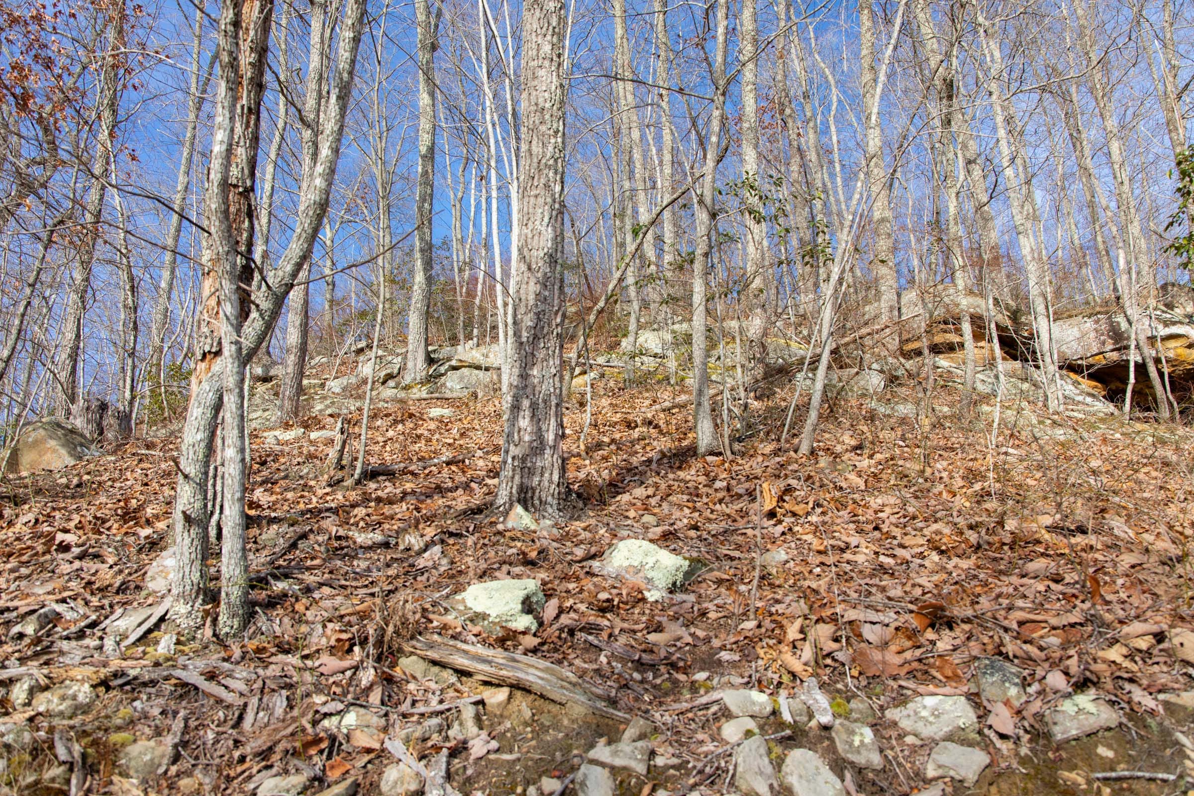 Blackstone Mountain Phase I Tract 30 photo 6