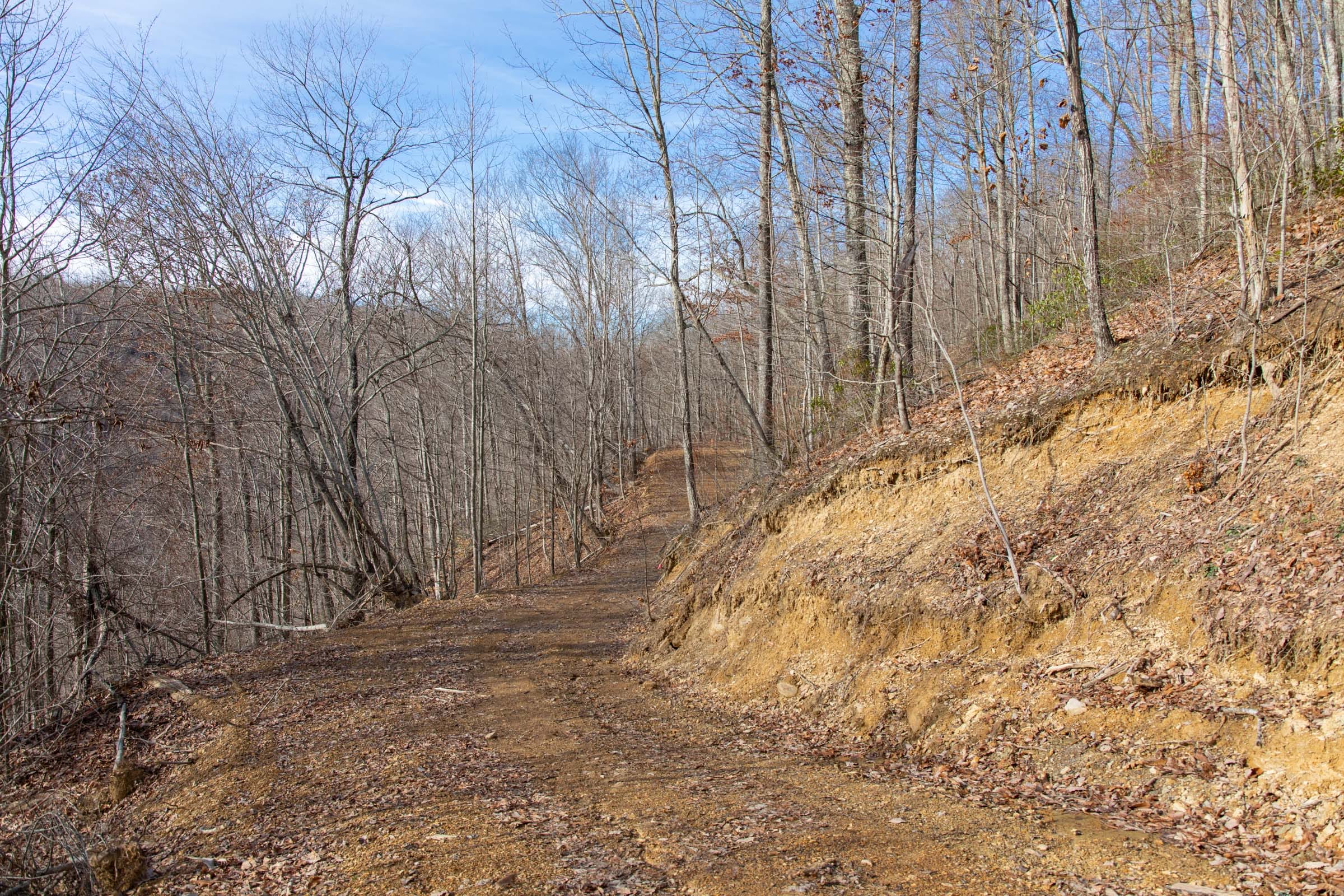 Blackstone Mountain Phase I Tract 30 photo 13