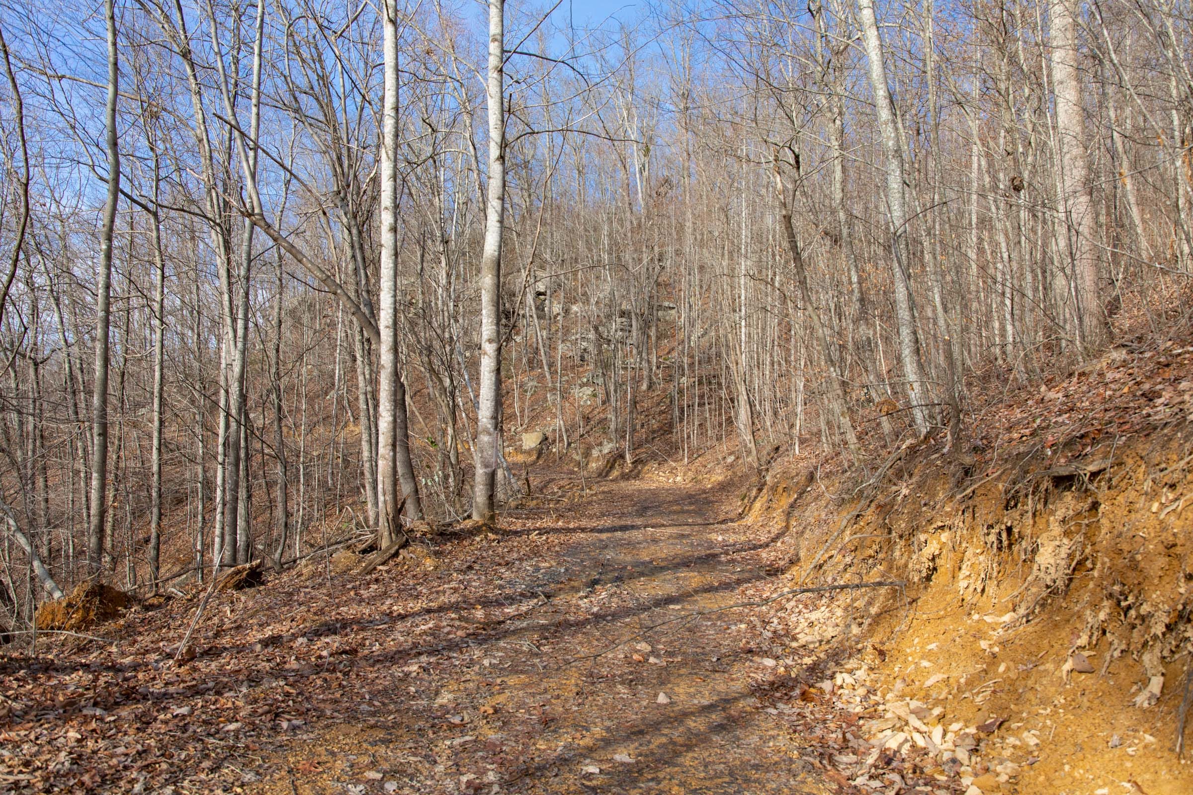 Blackstone Mountain Phase I Tract 30 photo 17