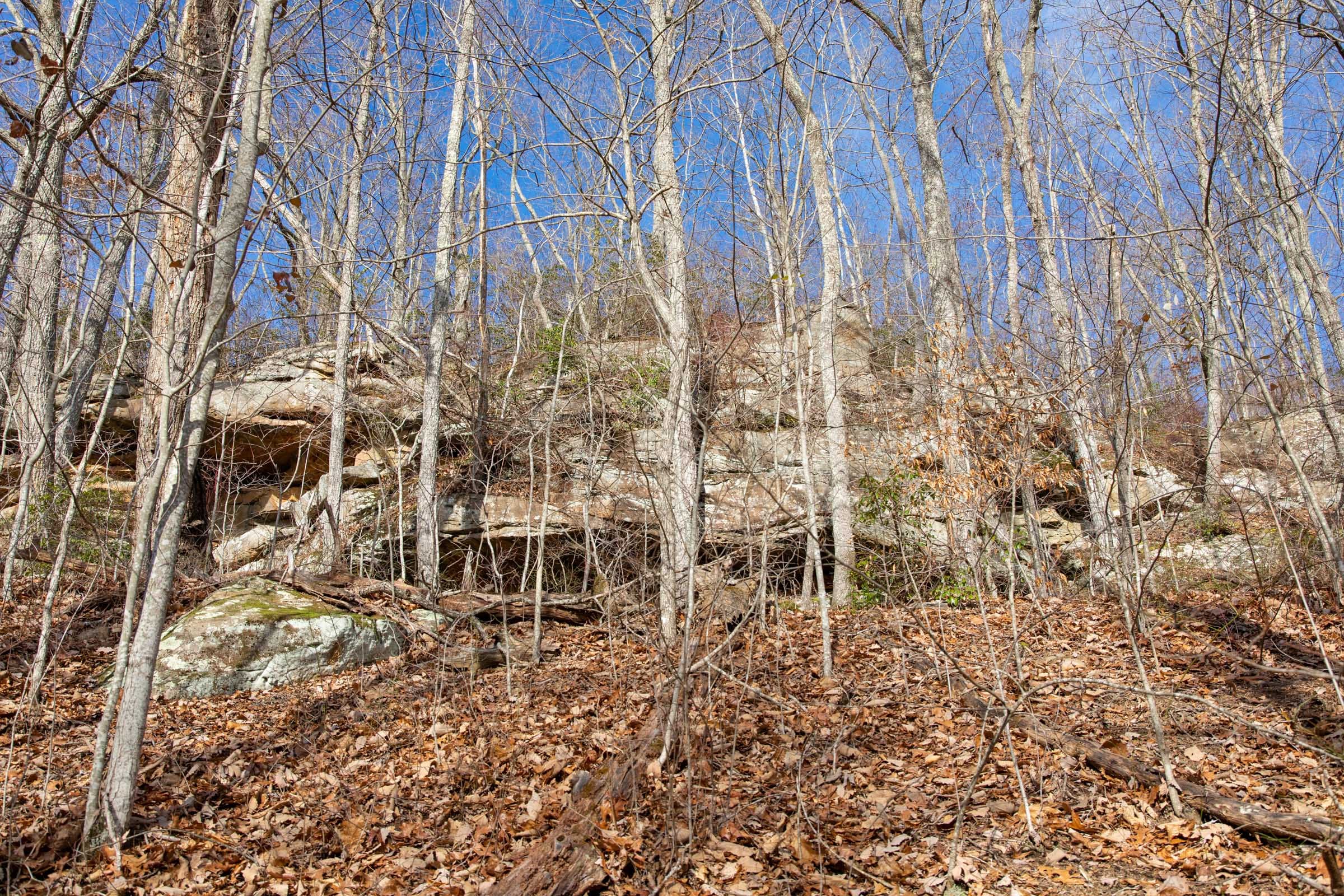 Blackstone Mountain Phase I Tract 30 photo 22