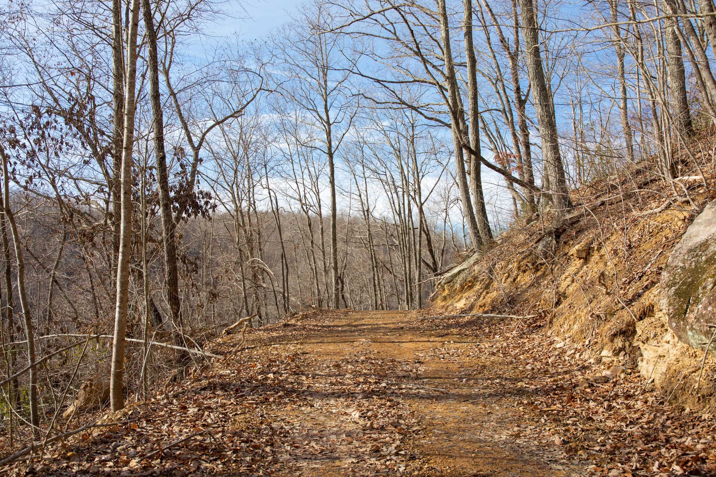 Blackstone Mountain Phase I Tract 30 photo 15