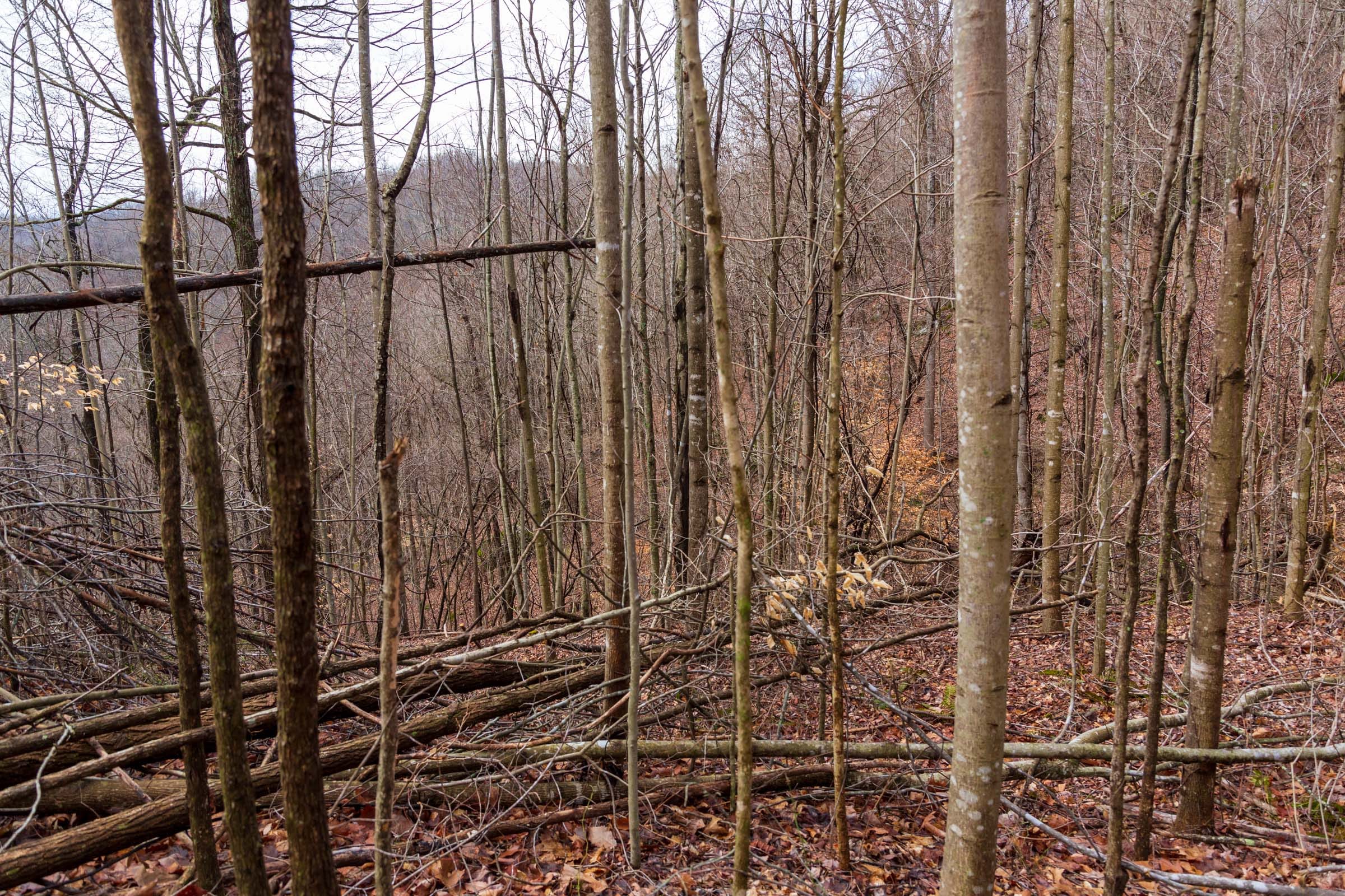Blackstone Mountain Phase II Tract 76 photo 2