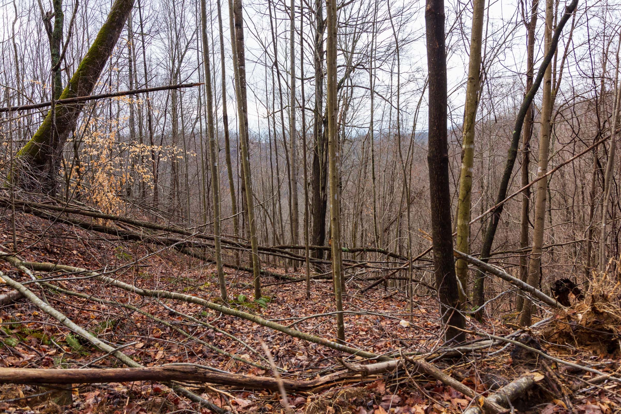 Blackstone Mountain Phase II Tract 76 photo 3