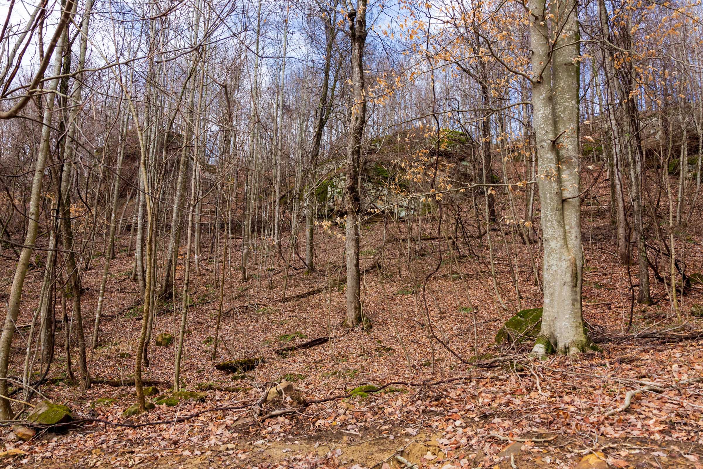 Blackstone Mountain Phase II Tract 76 photo 6