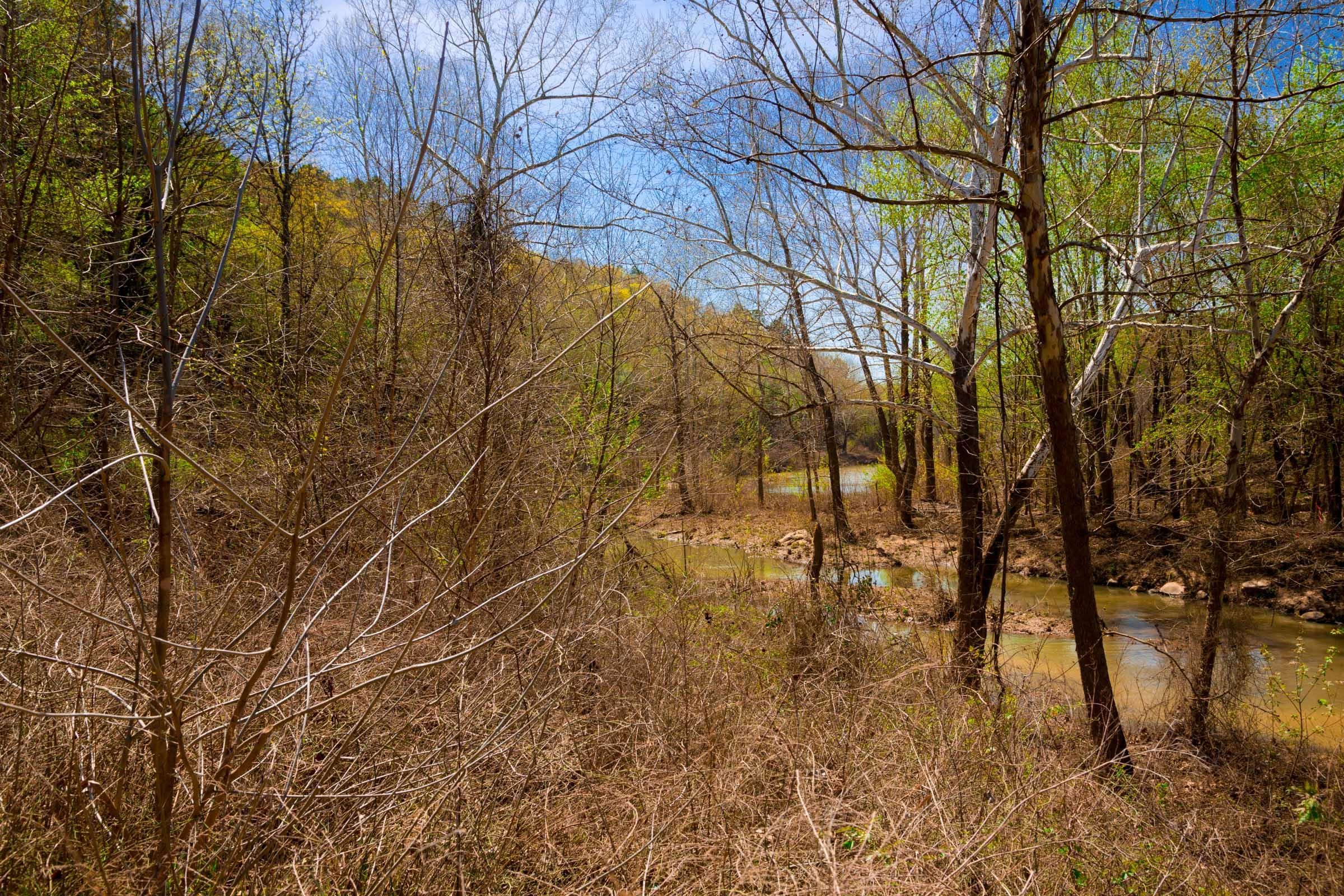 Stone Creek Phase II Tract 221 photo 6