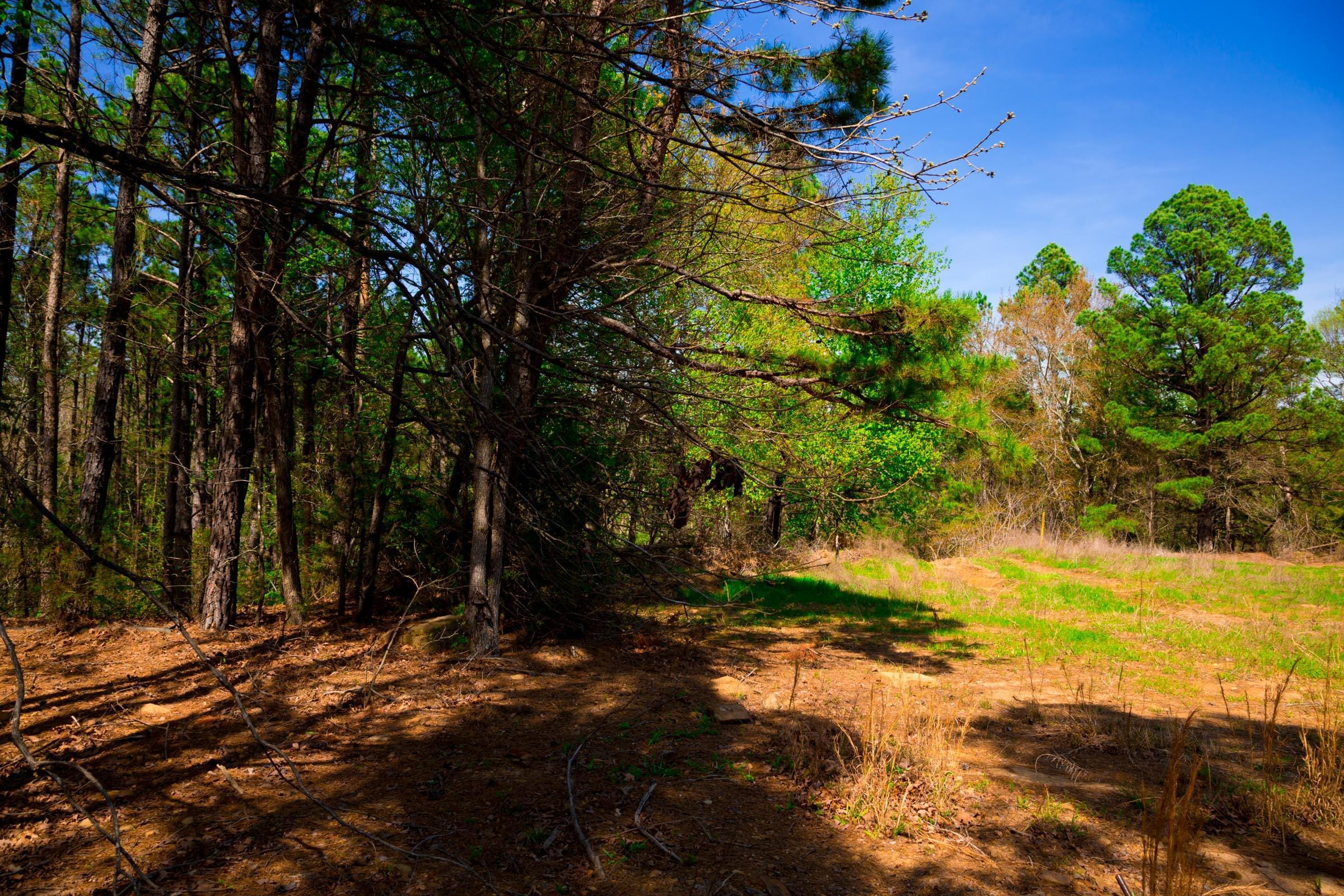 Stone Creek Phase II Tract 221 photo 9