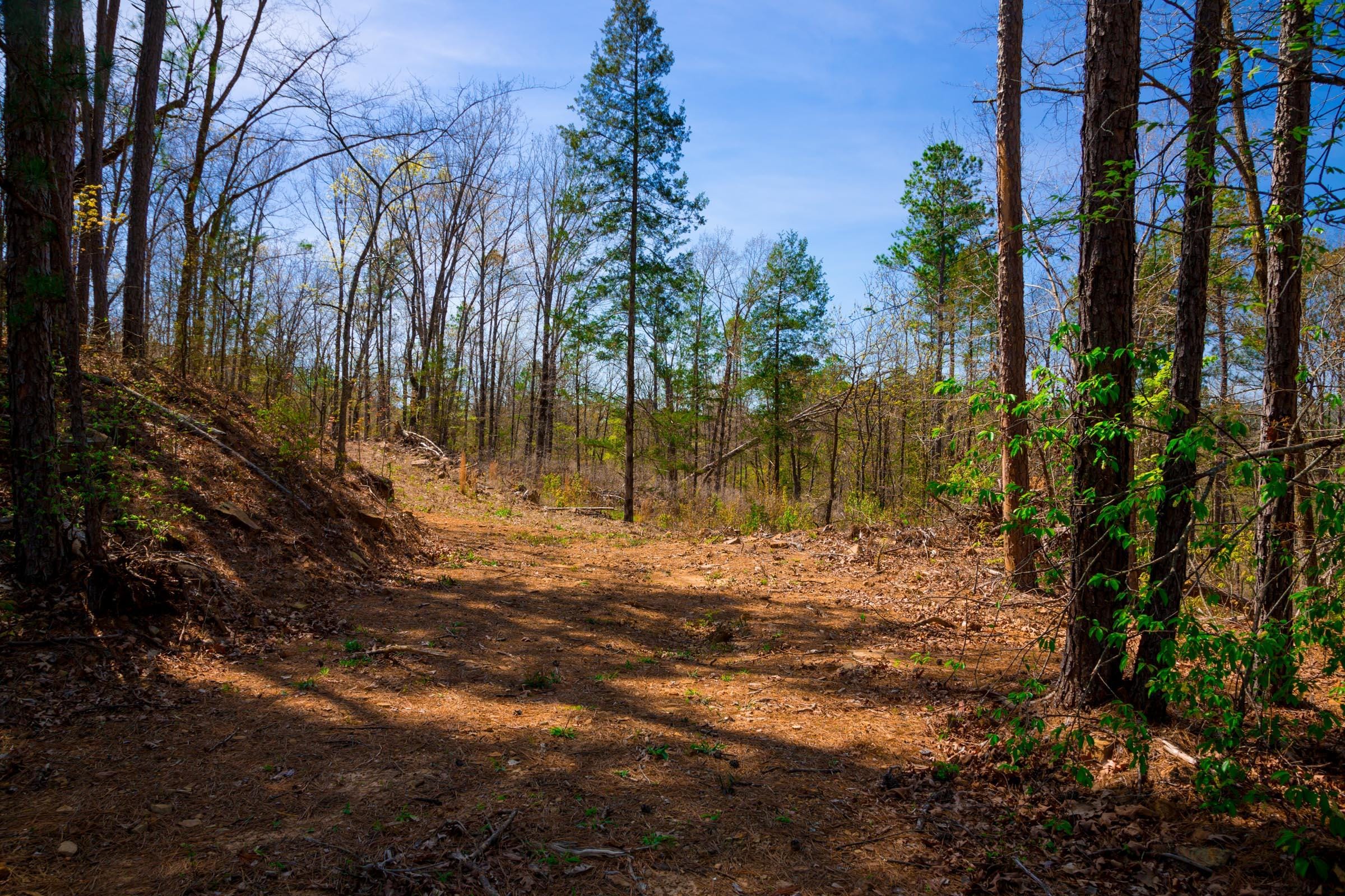 Stone Creek Phase II Tract 221 photo 10