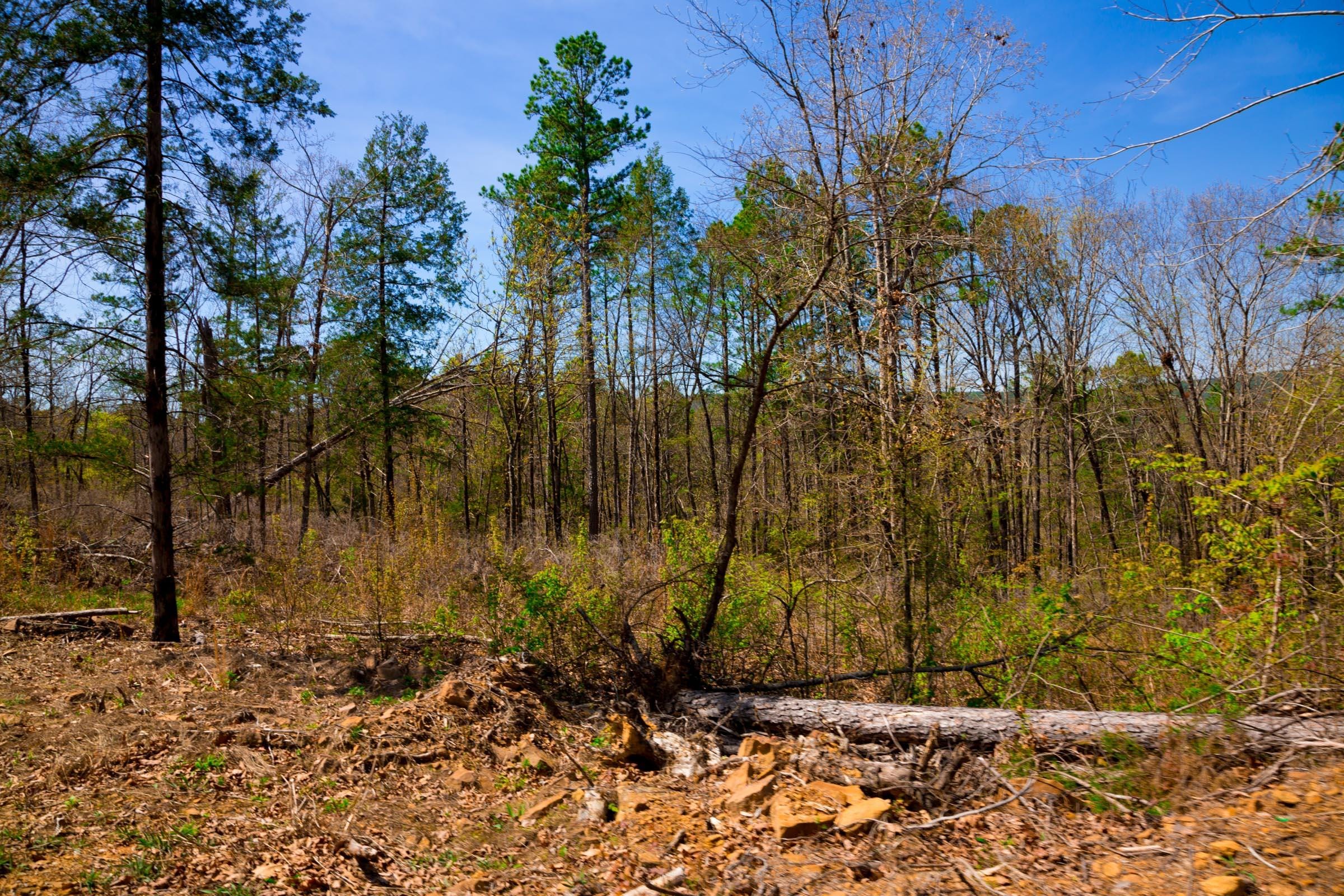 Stone Creek Phase II Tract 221 photo 11
